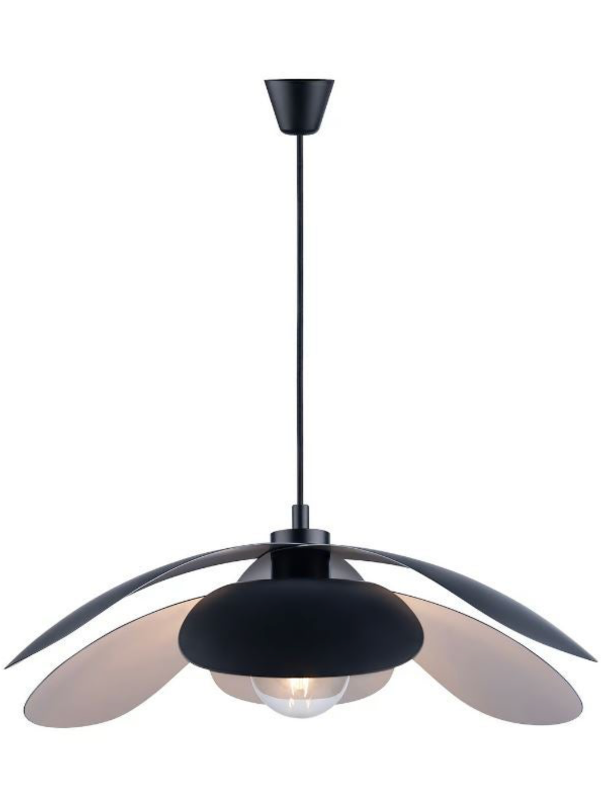 Maple 55 | Pendant Light