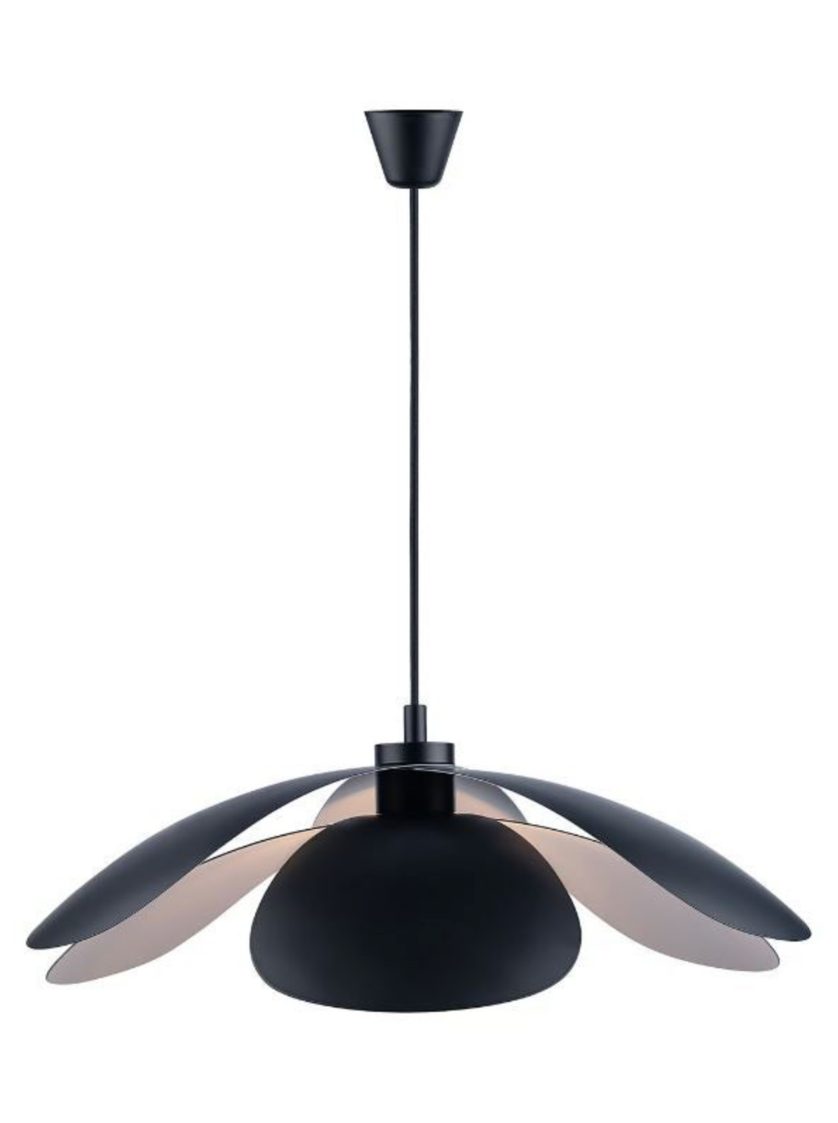 Maple 55 | Pendant Light