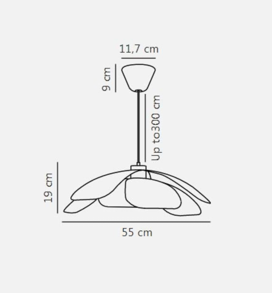 Maple 55 | Pendant Light