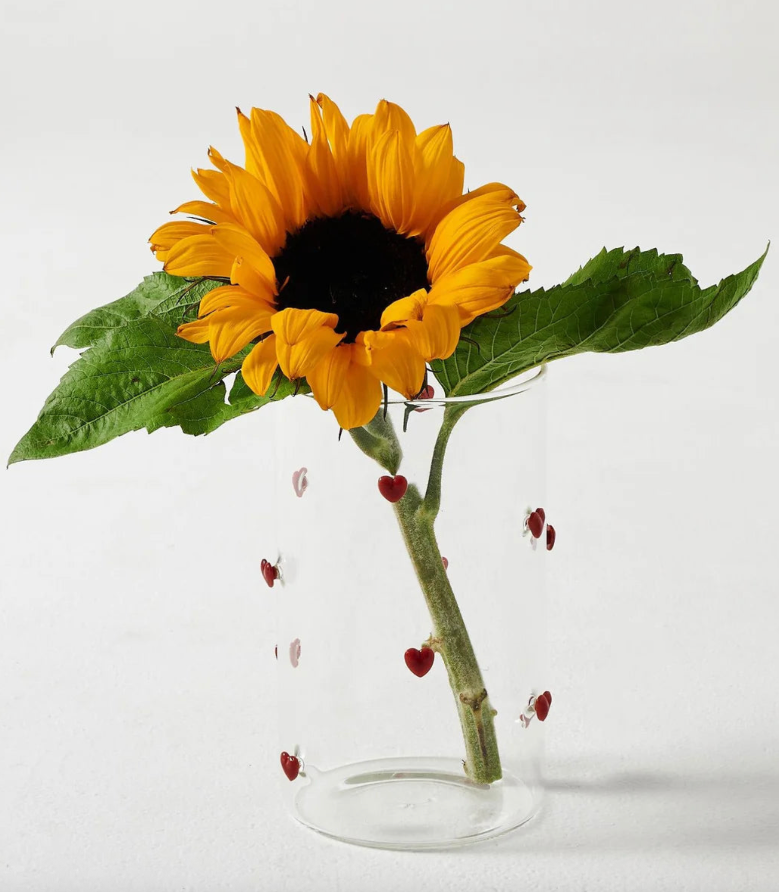 Kip & Co | Lover Vase