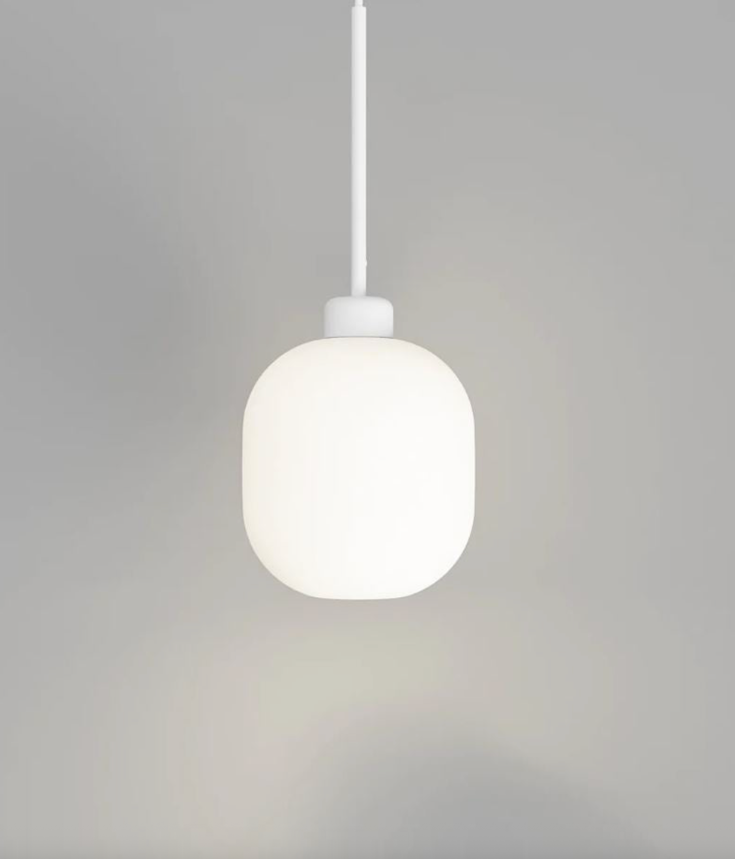 Parlour Lite Curve | Pendant Light
