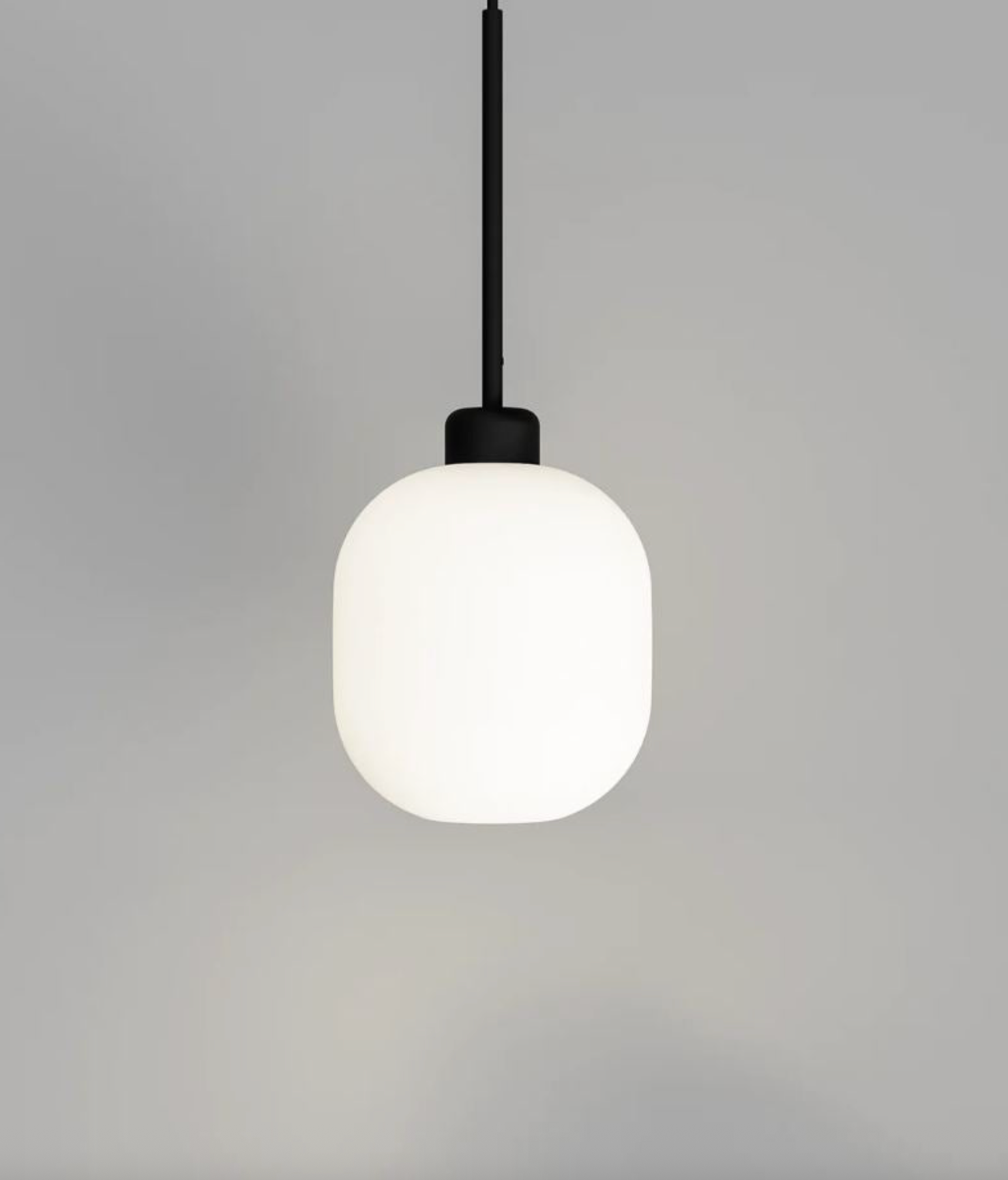 Parlour Lite Curve | Pendant Light