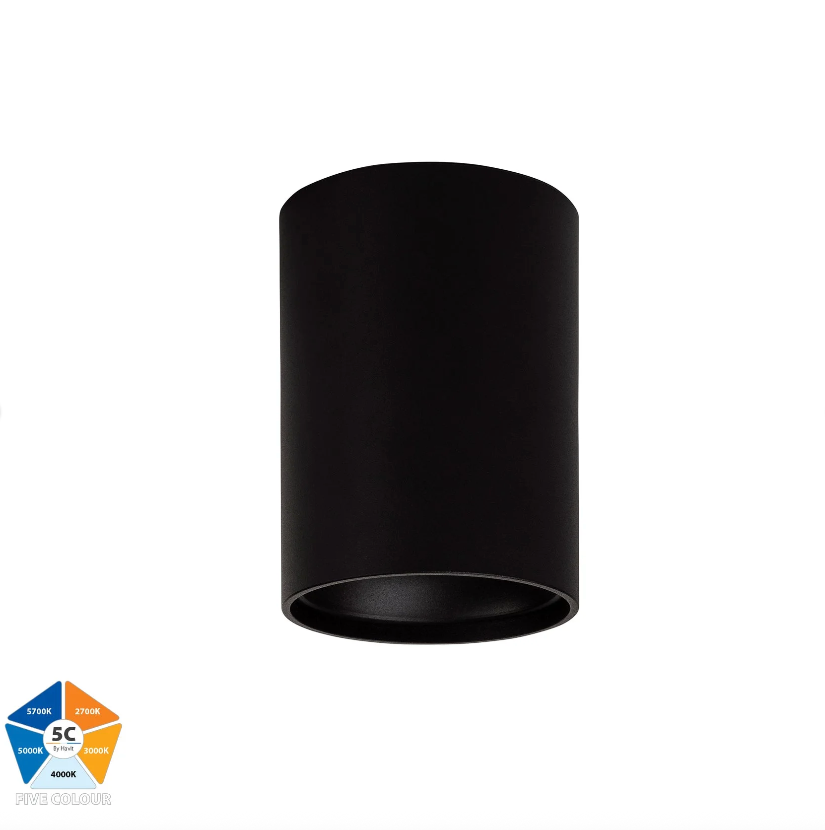 Nella 5CCT Surface Mount | Canister Light