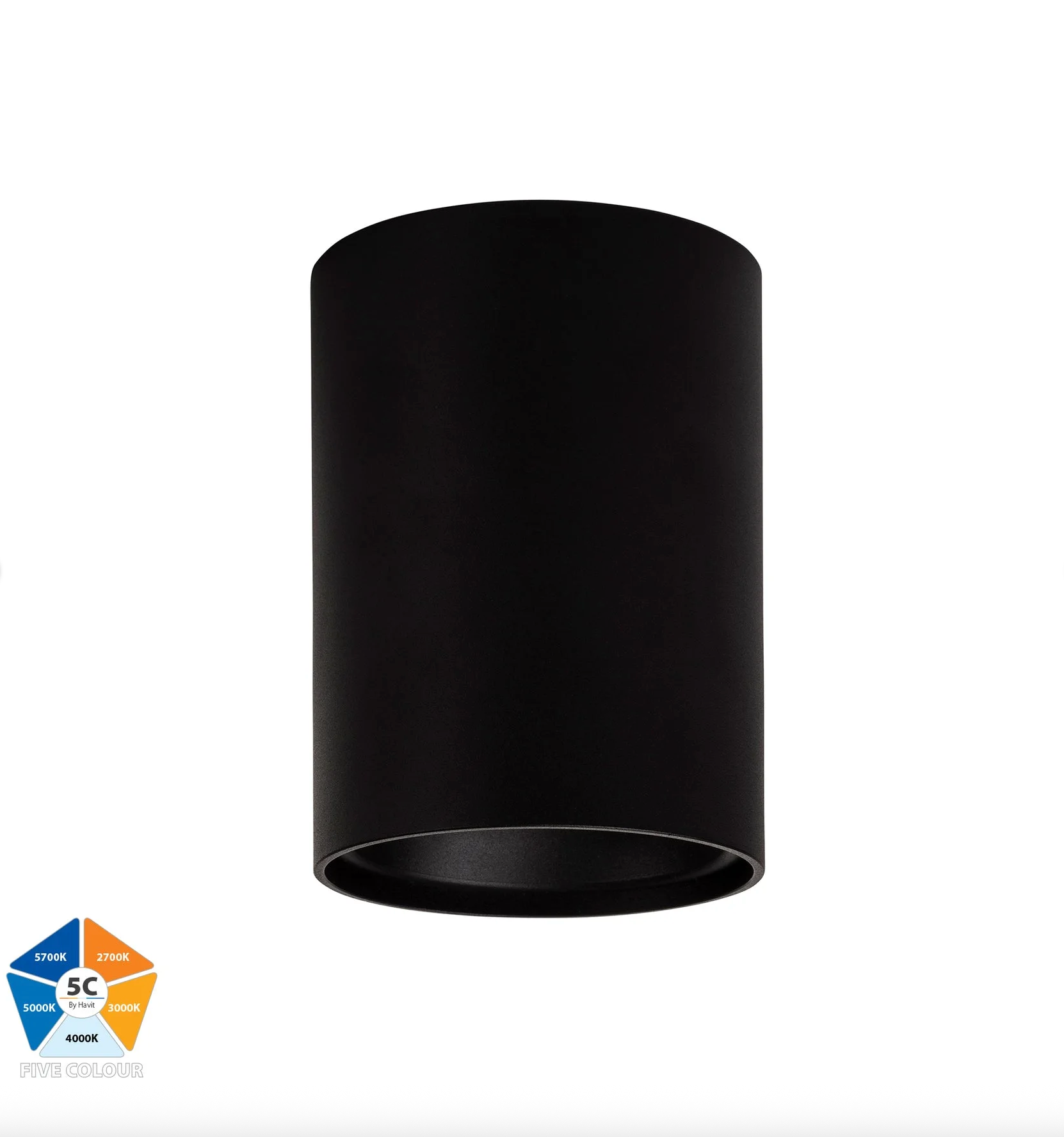 Nella 5CCT Surface Mount | Canister Light