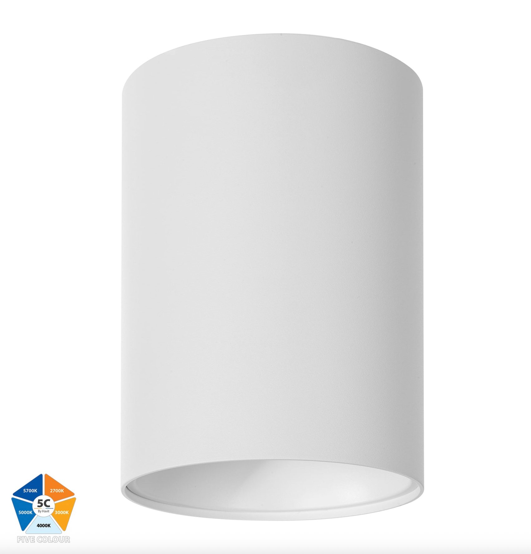 Nella 5CCT Surface Mount | Canister Light