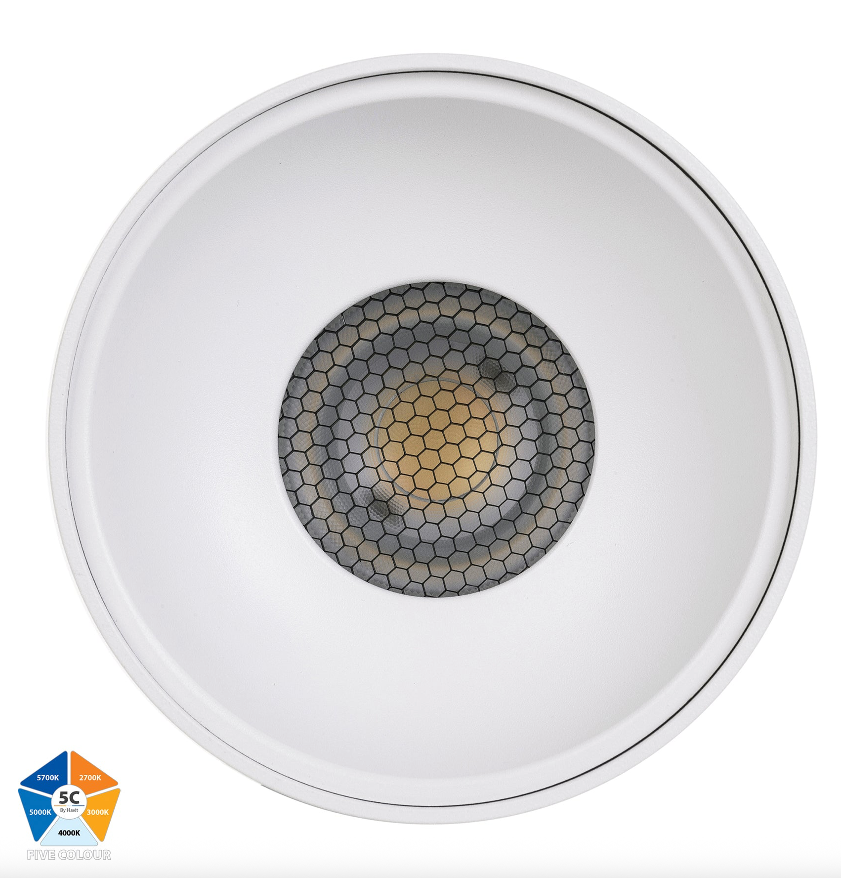 Nella 5CCT Surface Mount | Canister Light