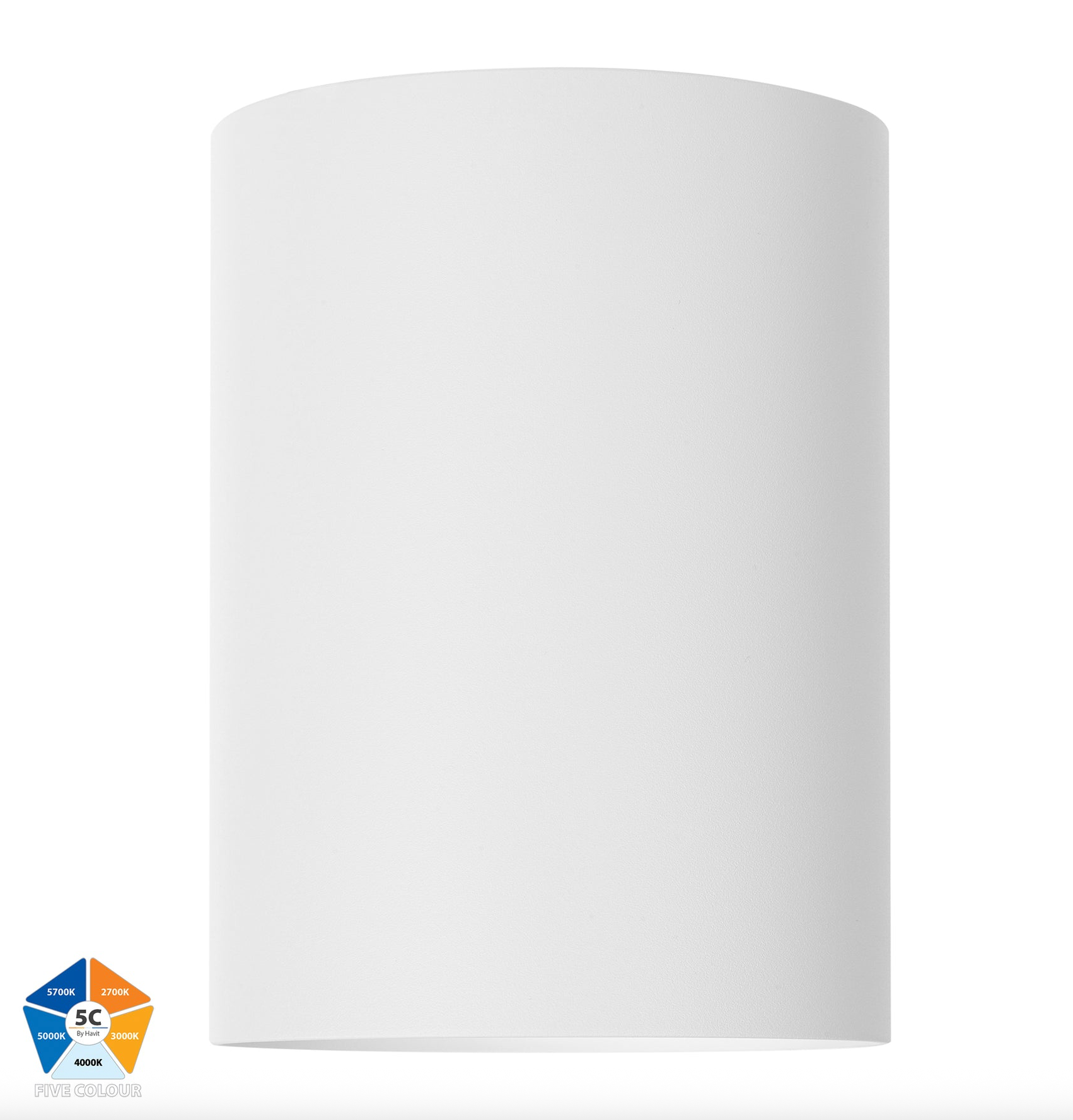 Nella 5CCT Surface Mount | Canister Light