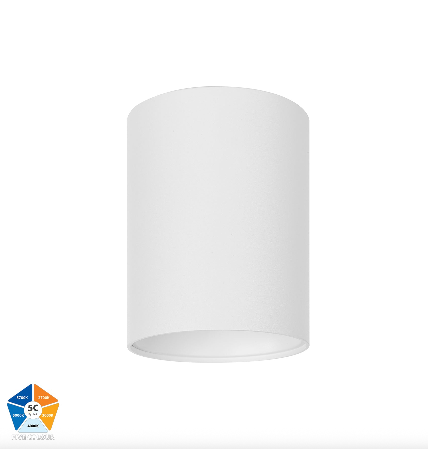 Nella 5CCT Surface Mount | Canister Light