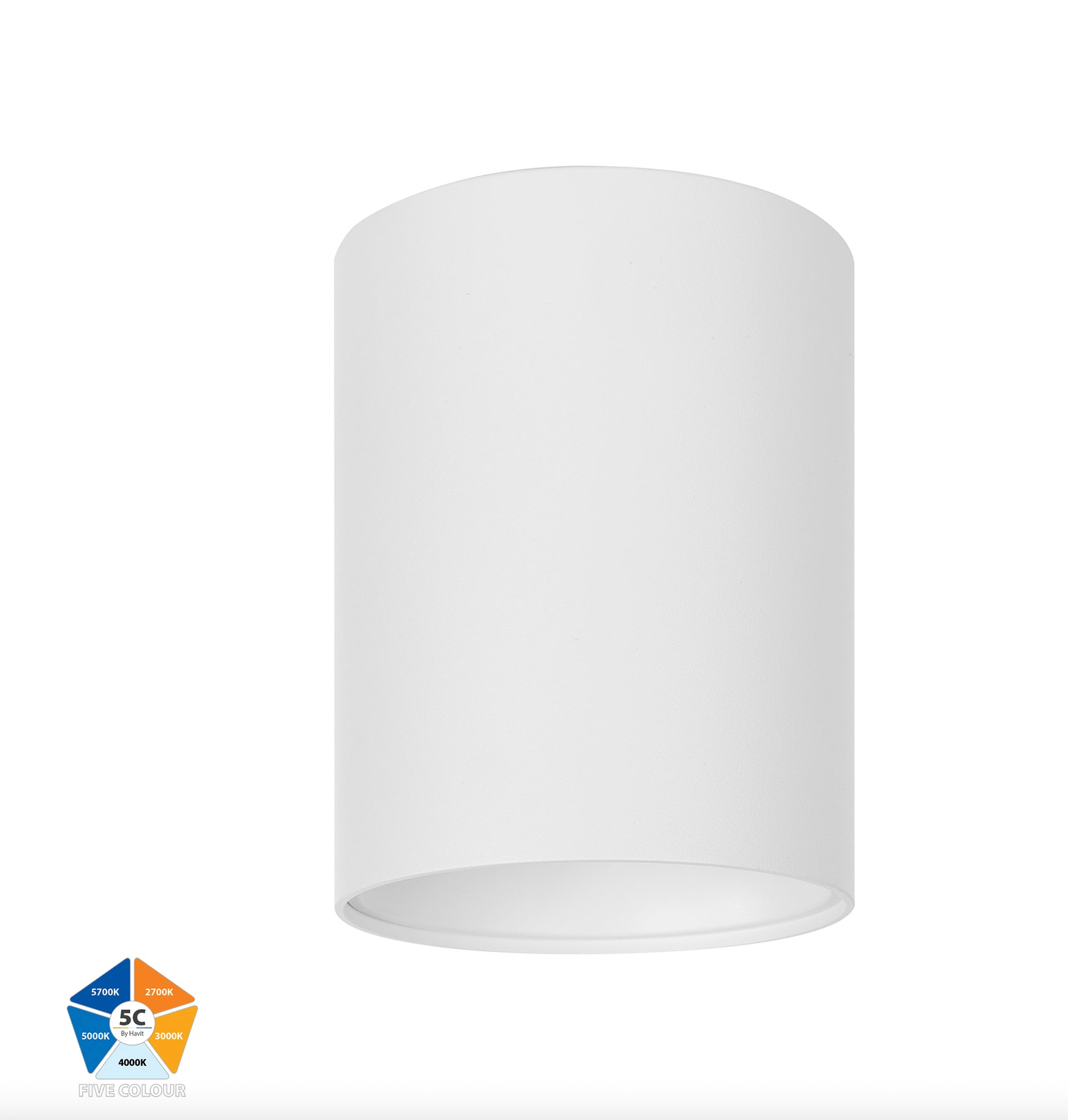 Nella 5CCT Surface Mount | Canister Light