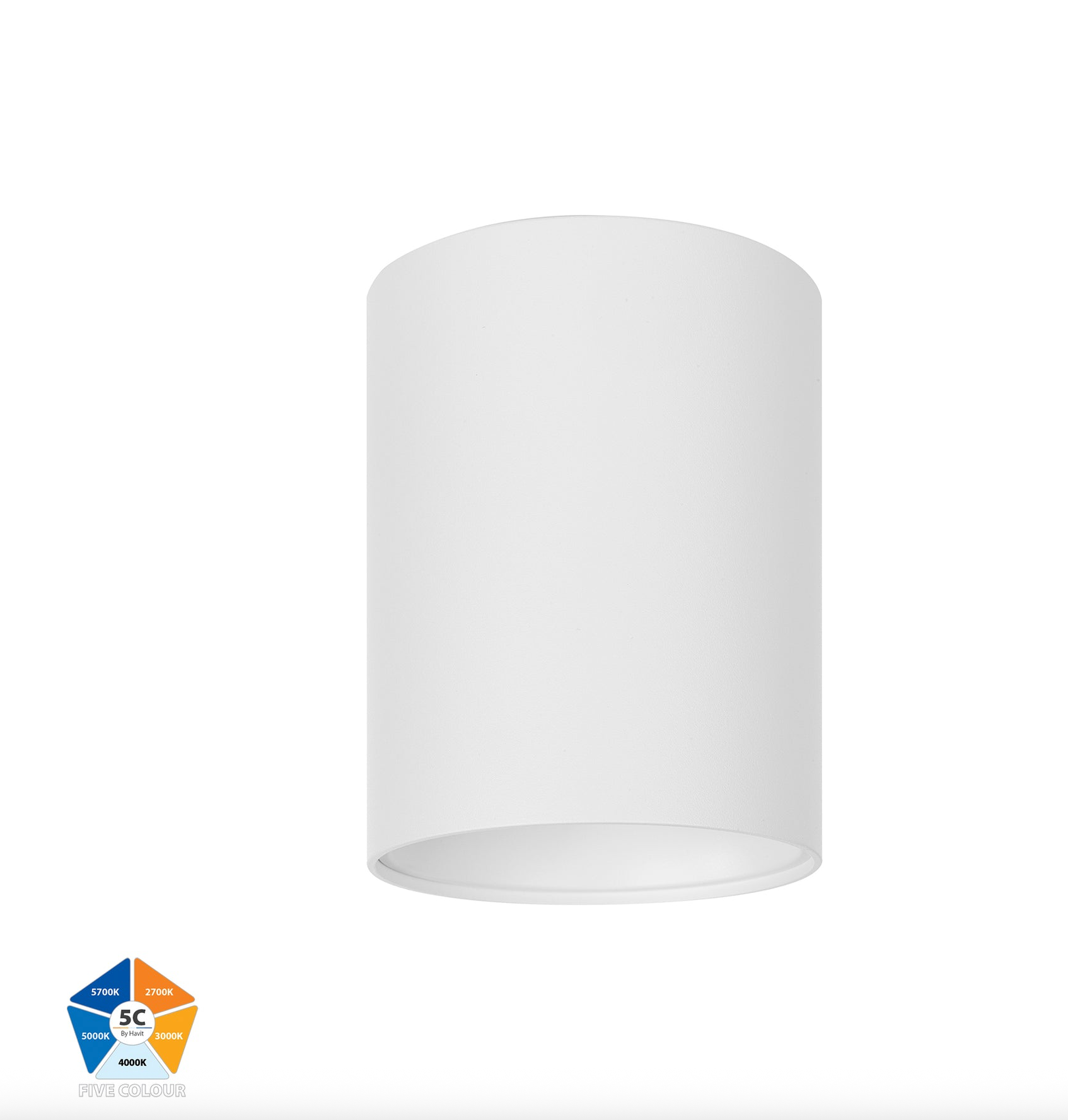 Nella 5CCT Surface Mount | Canister Light