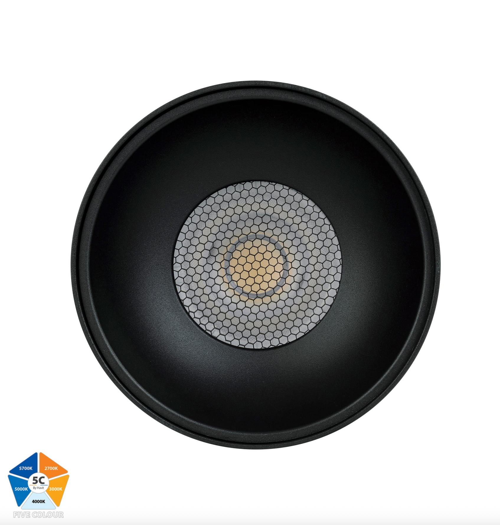 Nella 5CCT Surface Mount | Canister Light