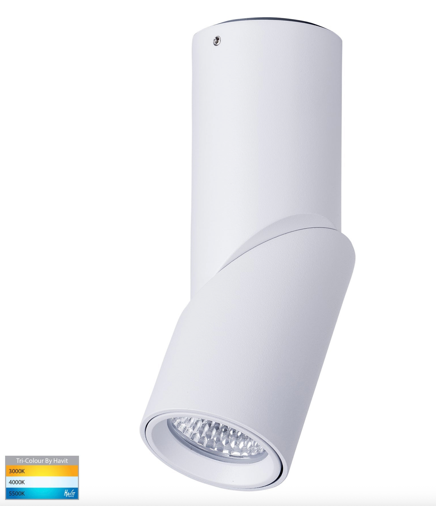 Nella Rotatable Surface Mount | Canister Light