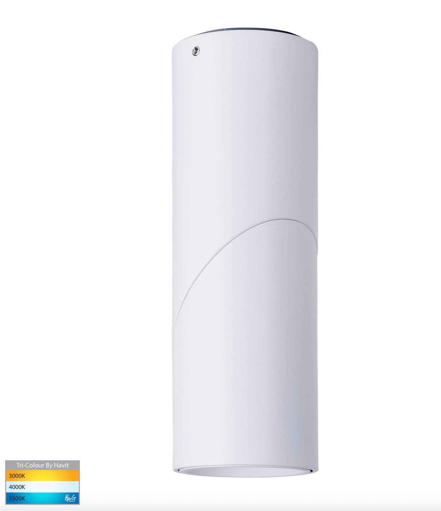 Nella Rotatable Surface Mount | Canister Light