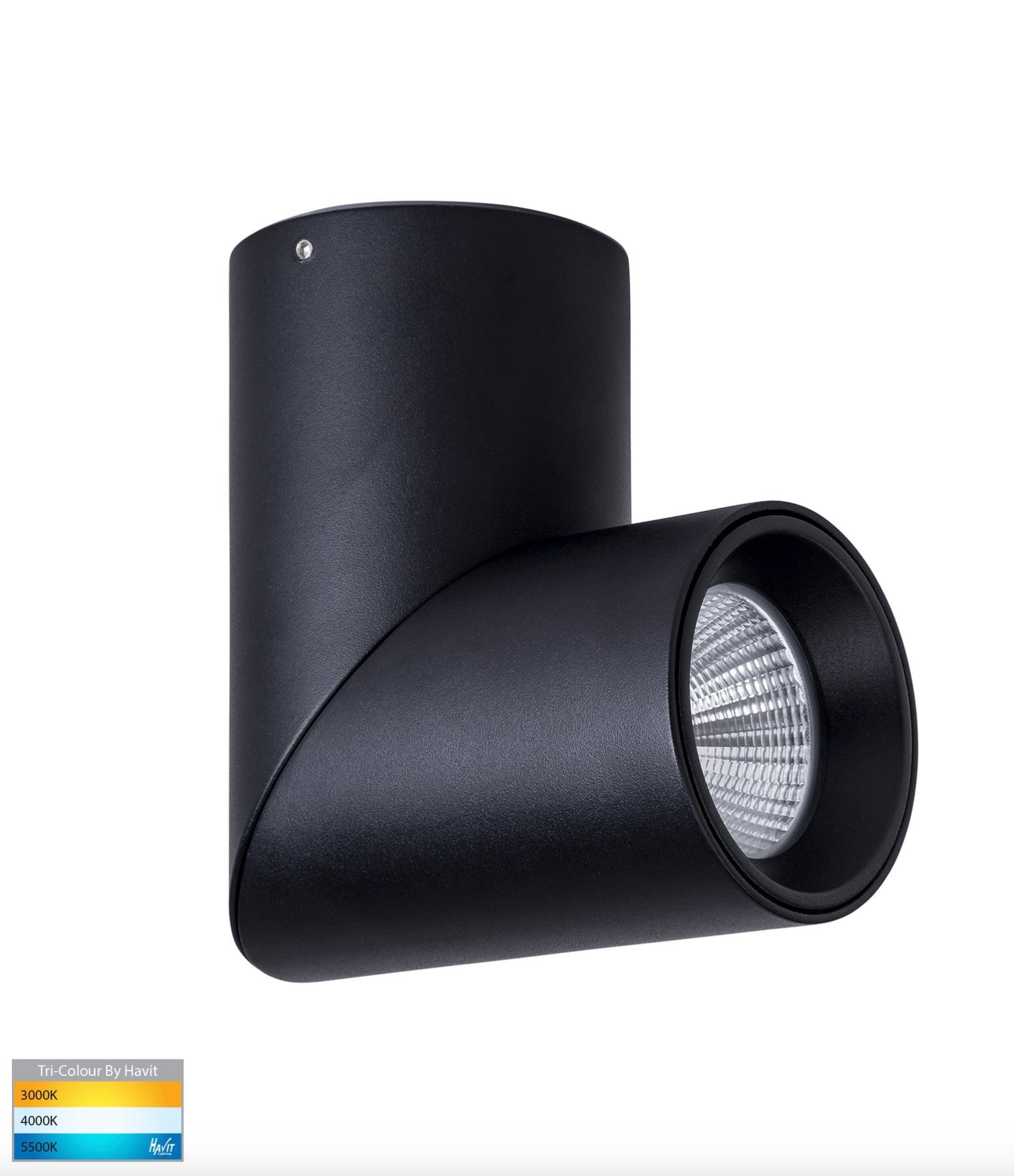 Nella Rotatable Surface Mount | Canister Light