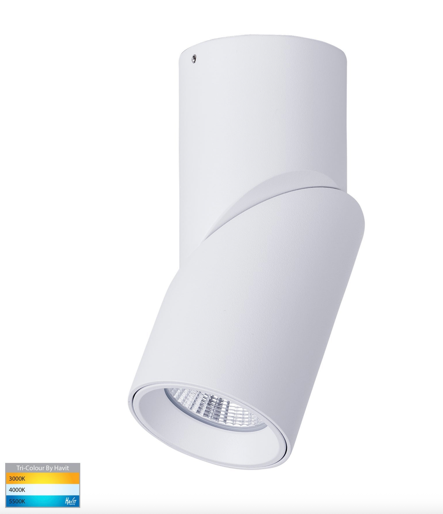 Nella Rotatable Surface Mount | Canister Light