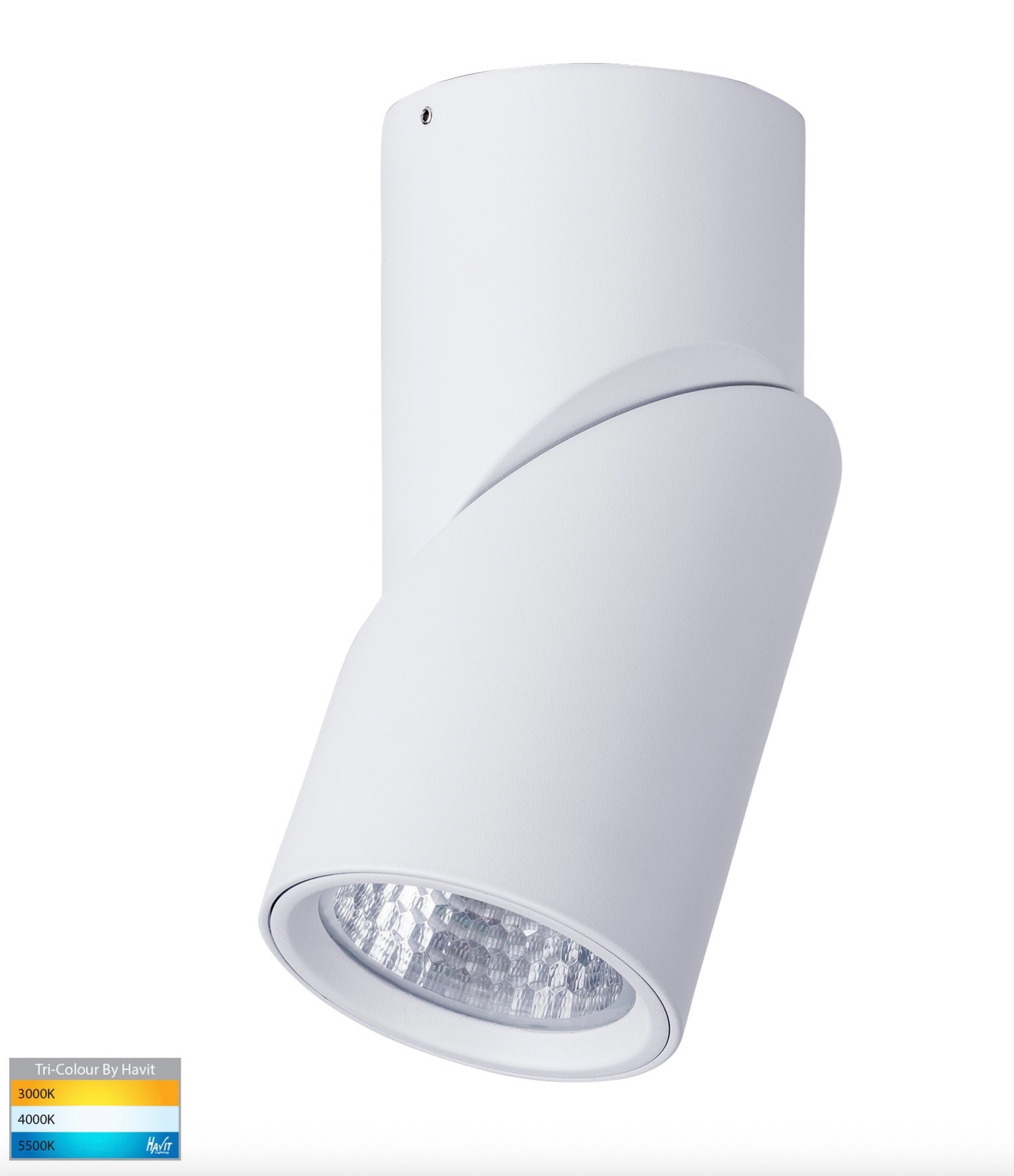 Nella Rotatable Surface Mount | Canister Light