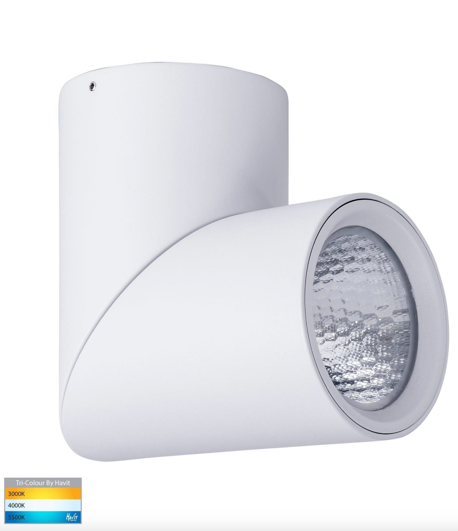 Nella Rotatable Surface Mount | Canister Light