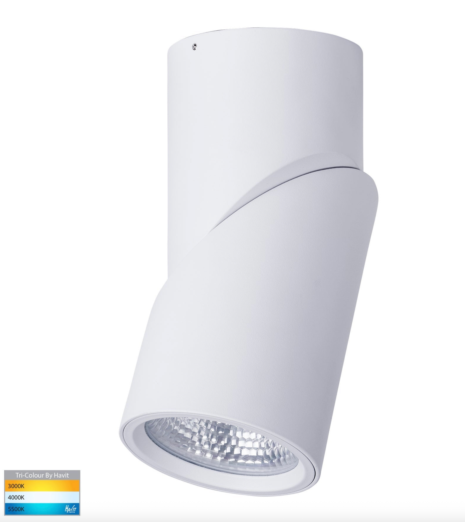 Nella Rotatable Surface Mount | Canister Light