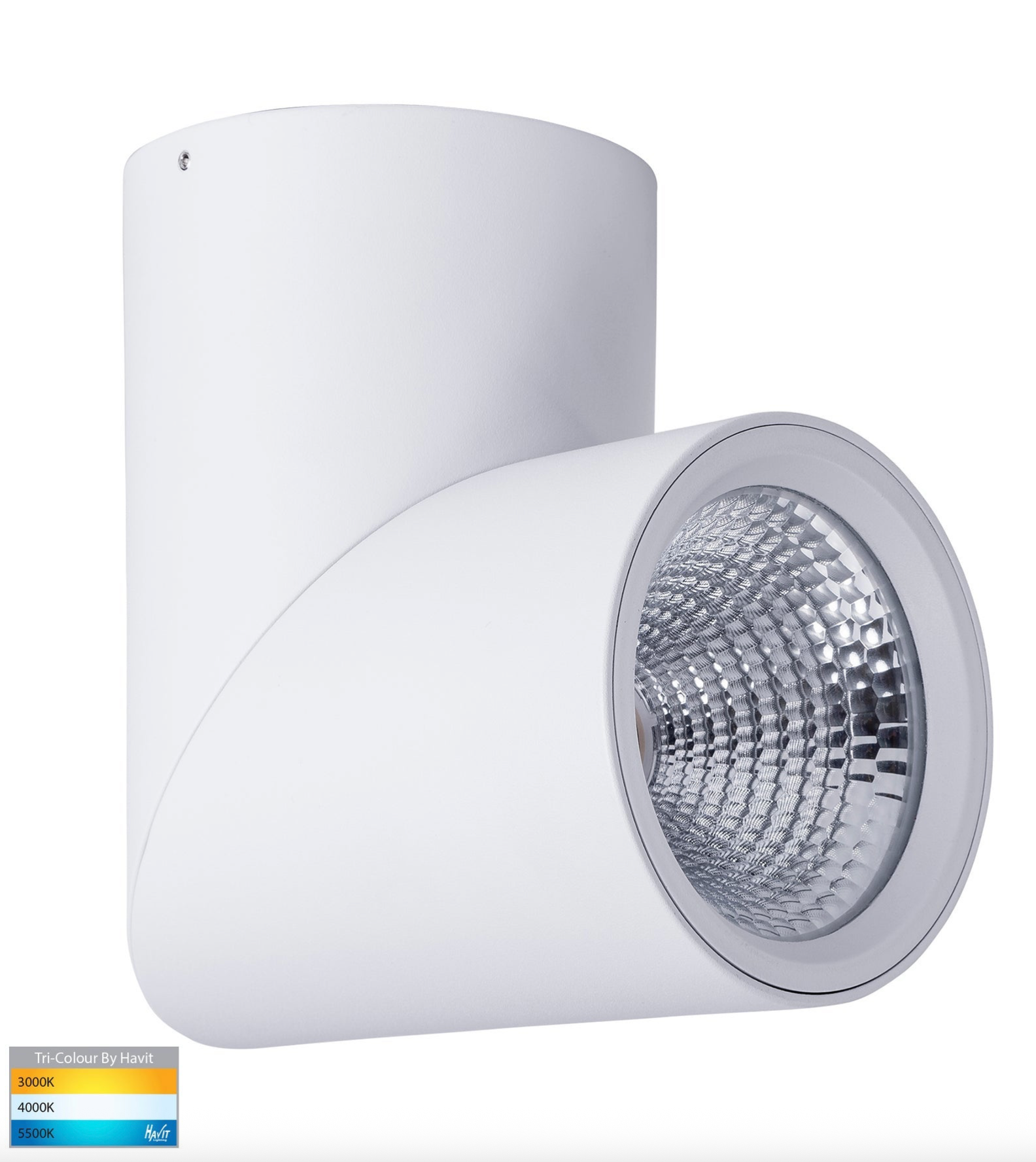 Nella Rotatable Surface Mount | Canister Light