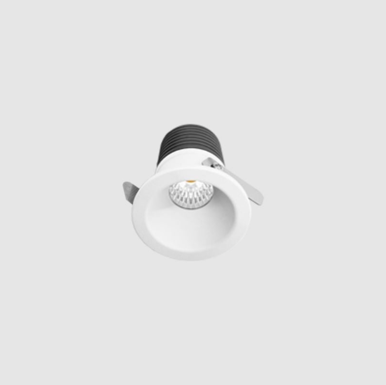Luna Starlight | Downlight