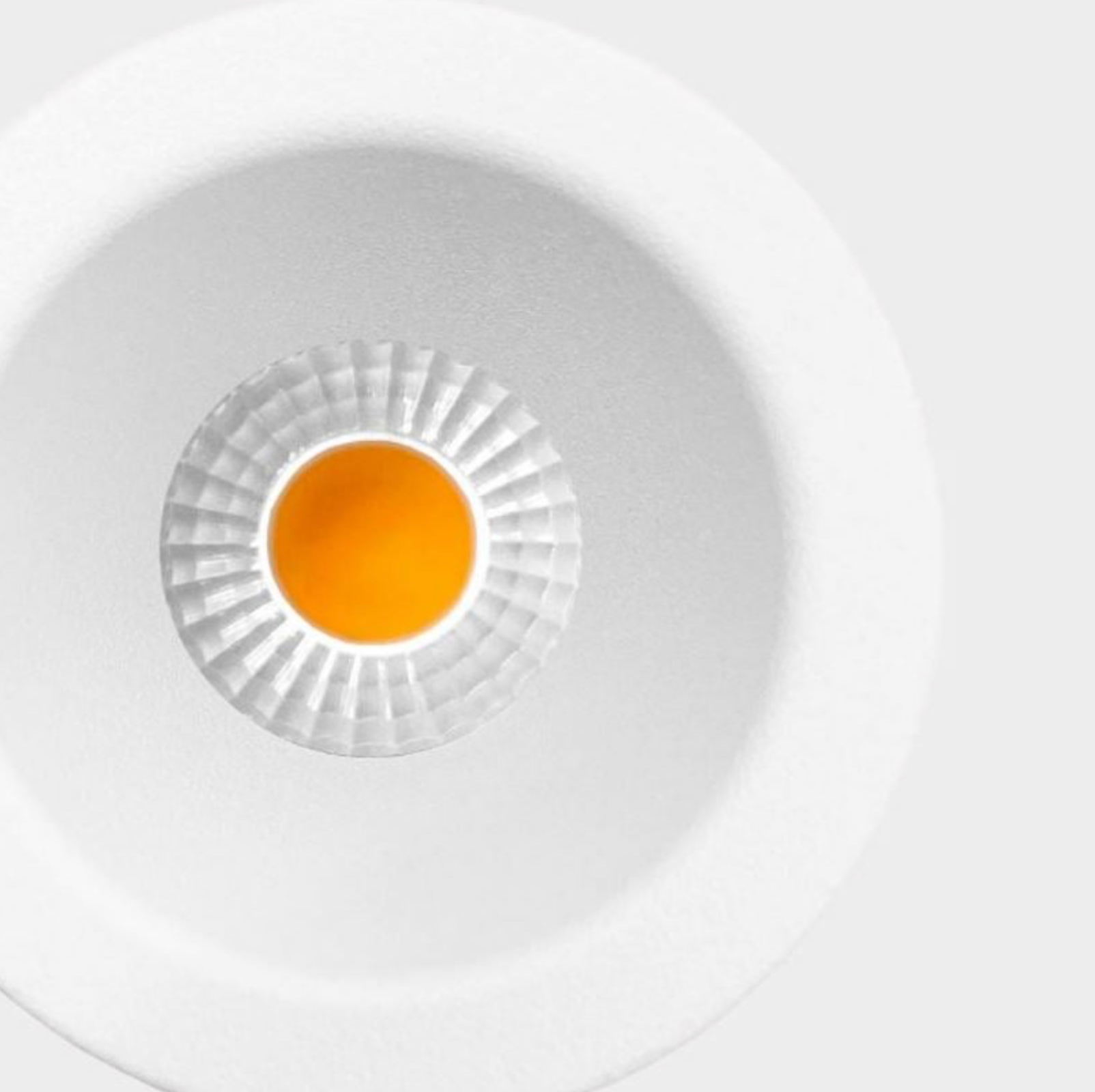 Luna Starlight | Downlight