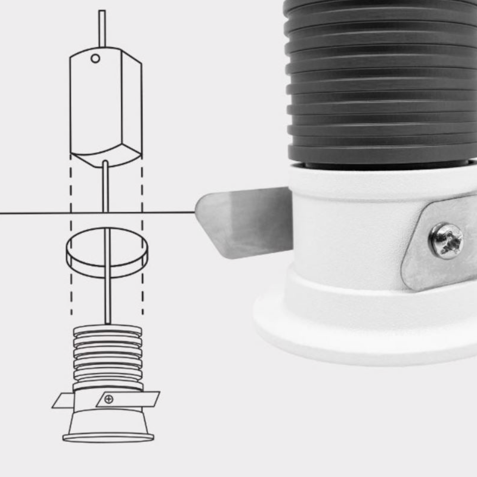 Luna Starlight | Downlight