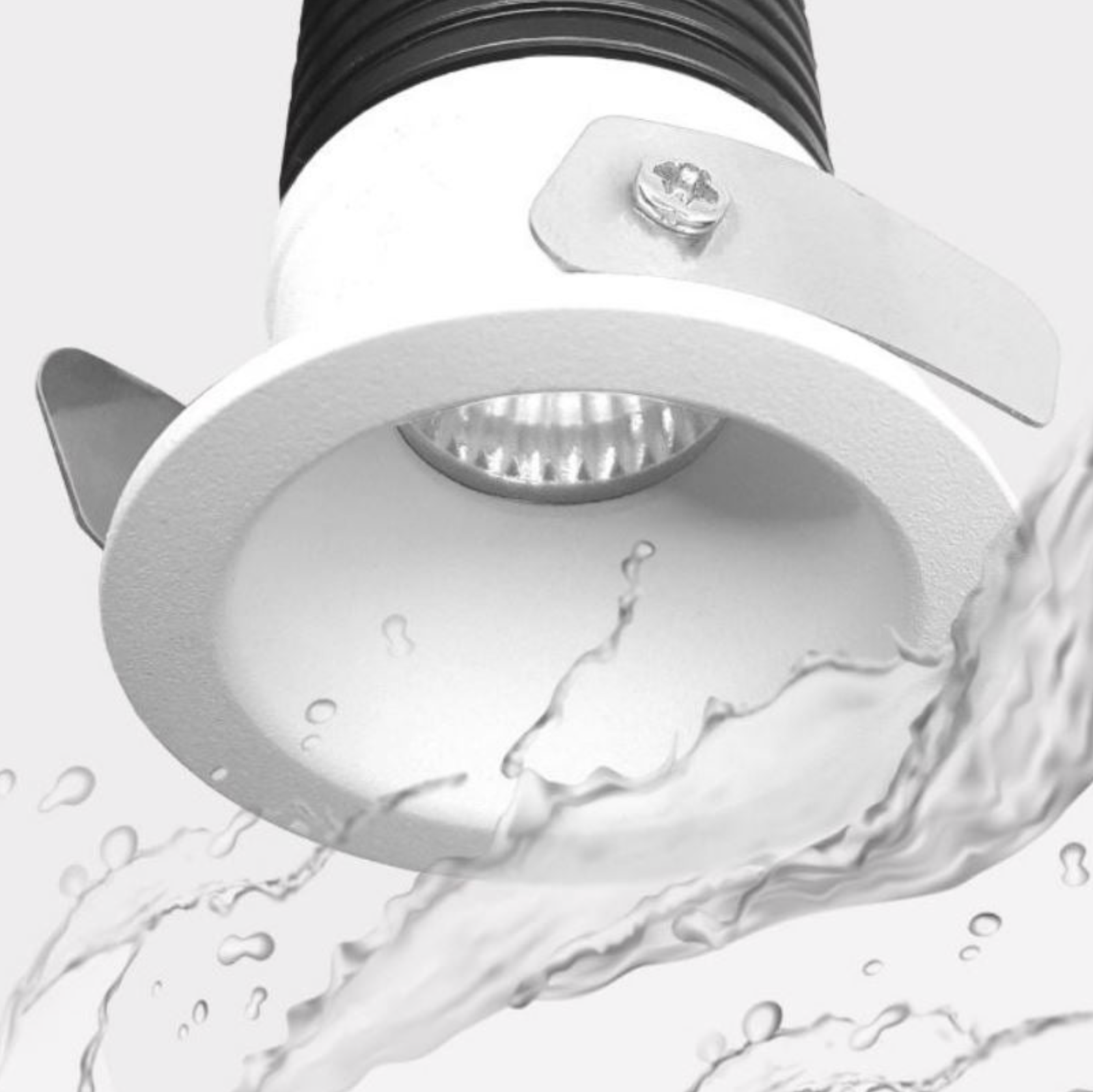 Luna Starlight | Downlight