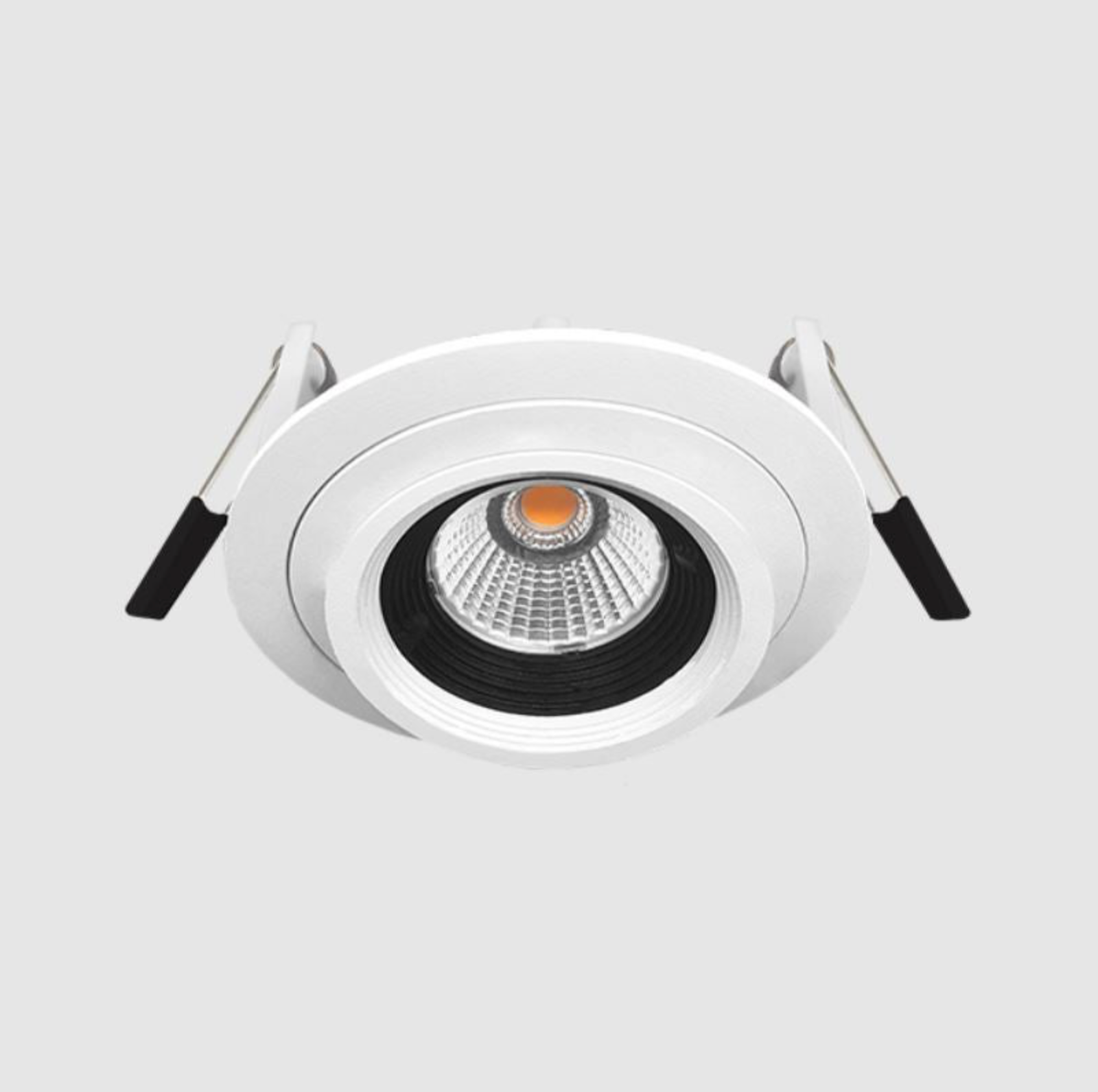 Pro Adjustable | Downlight