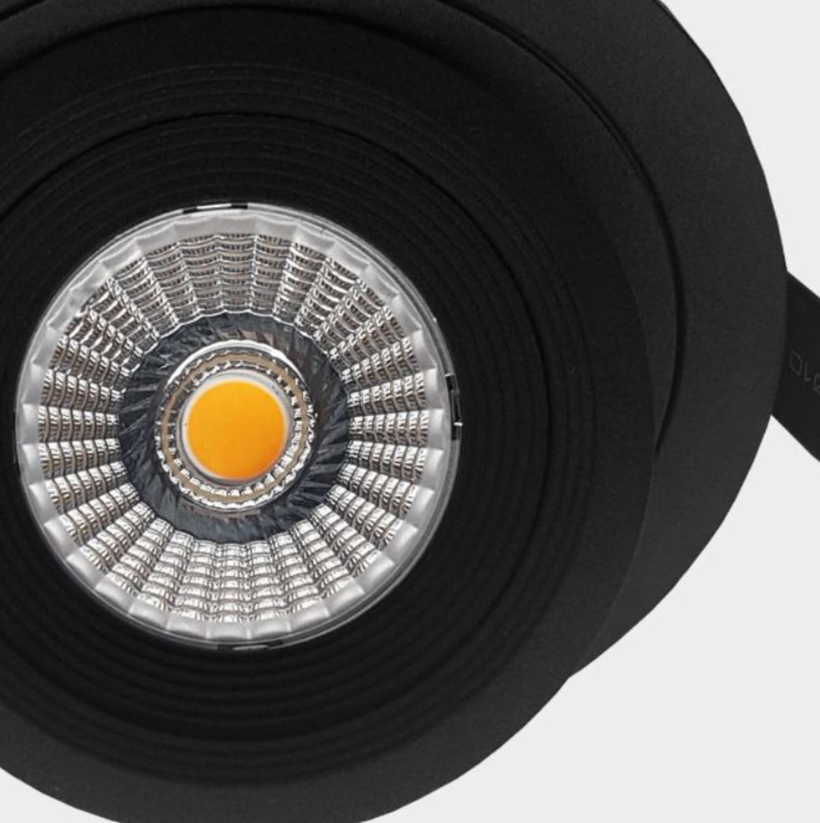 Pro Adjustable | Downlight