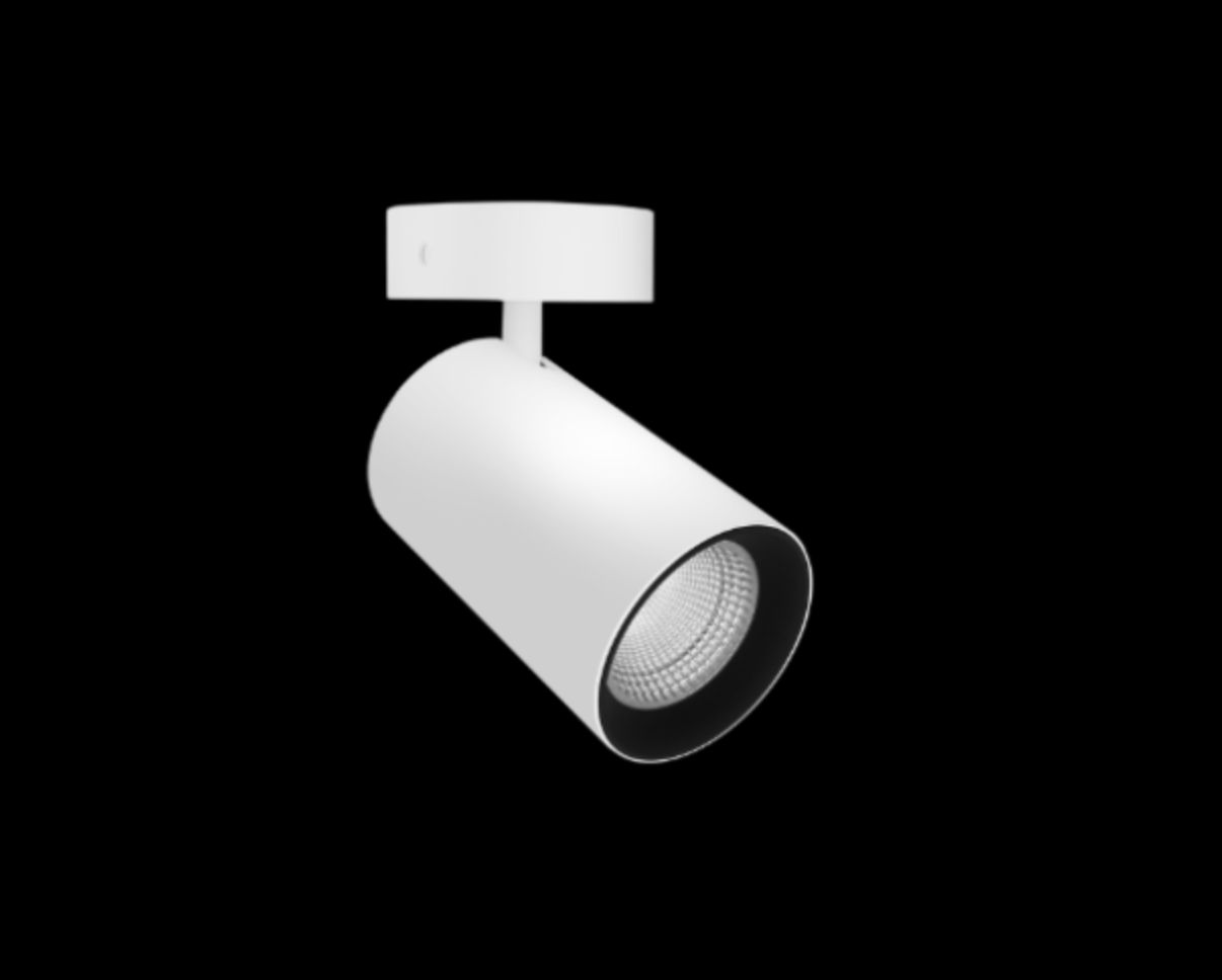 Core Adjustable | Ceiling Light