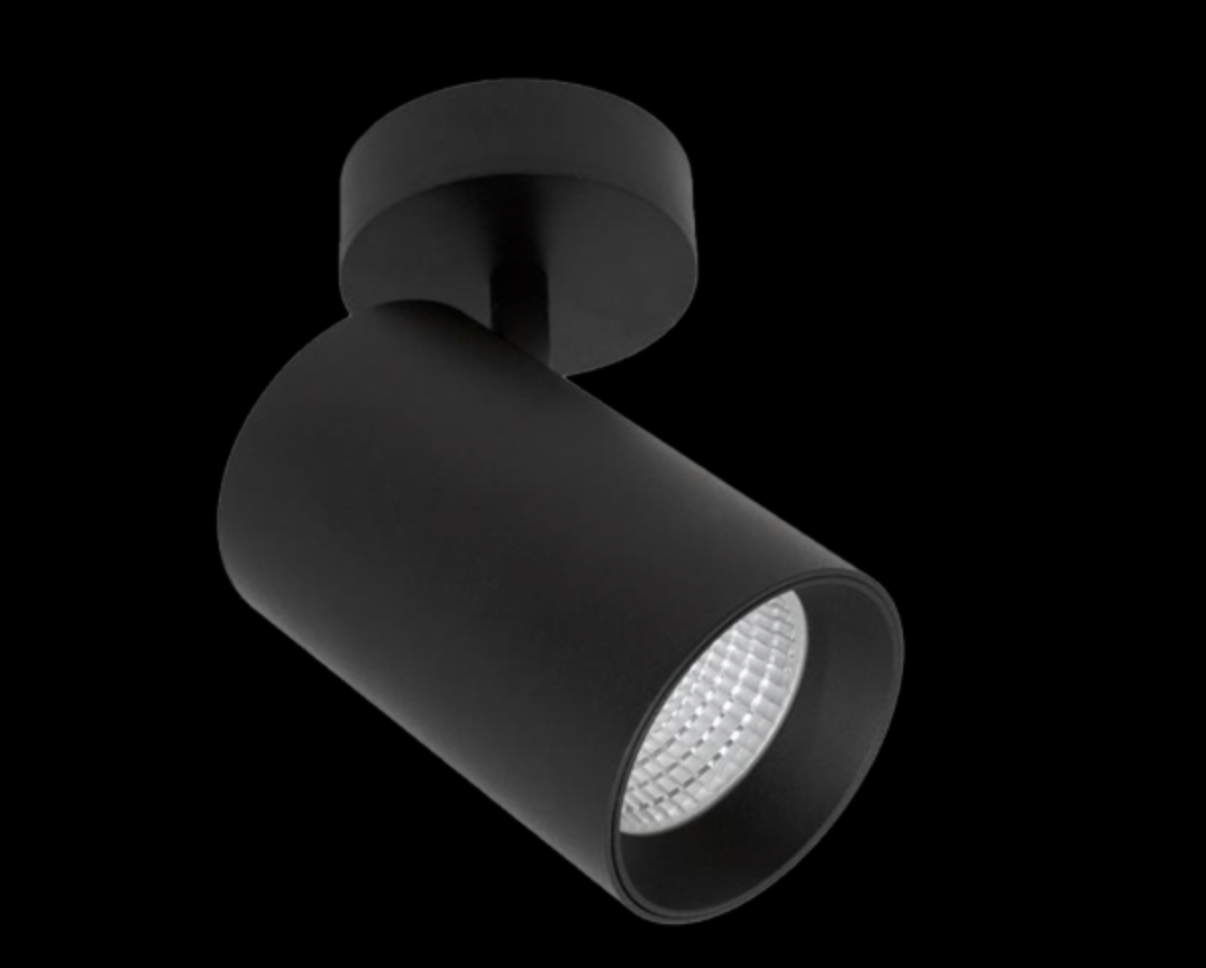 Core Adjustable | Ceiling Light