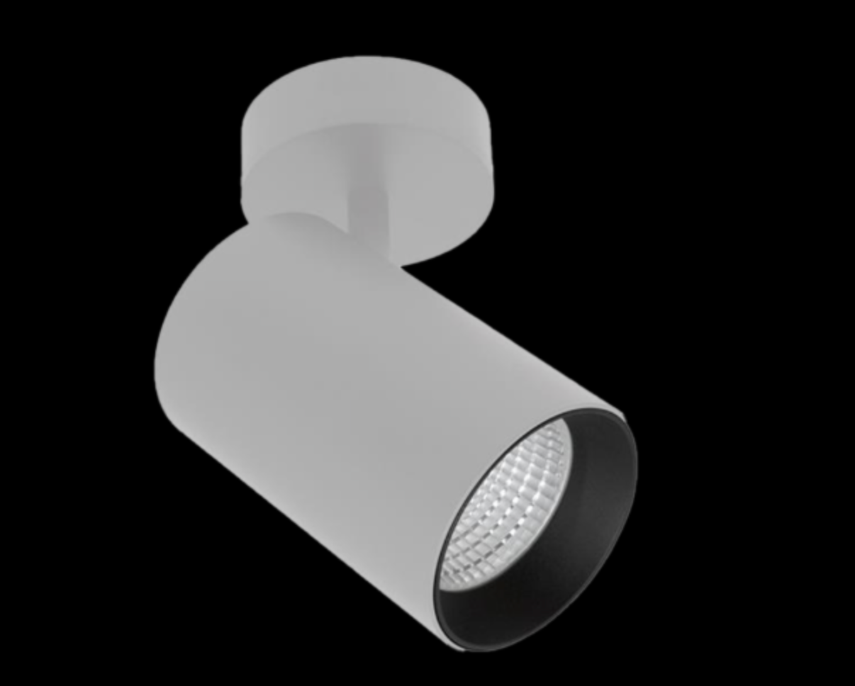 Core Adjustable | Ceiling Light