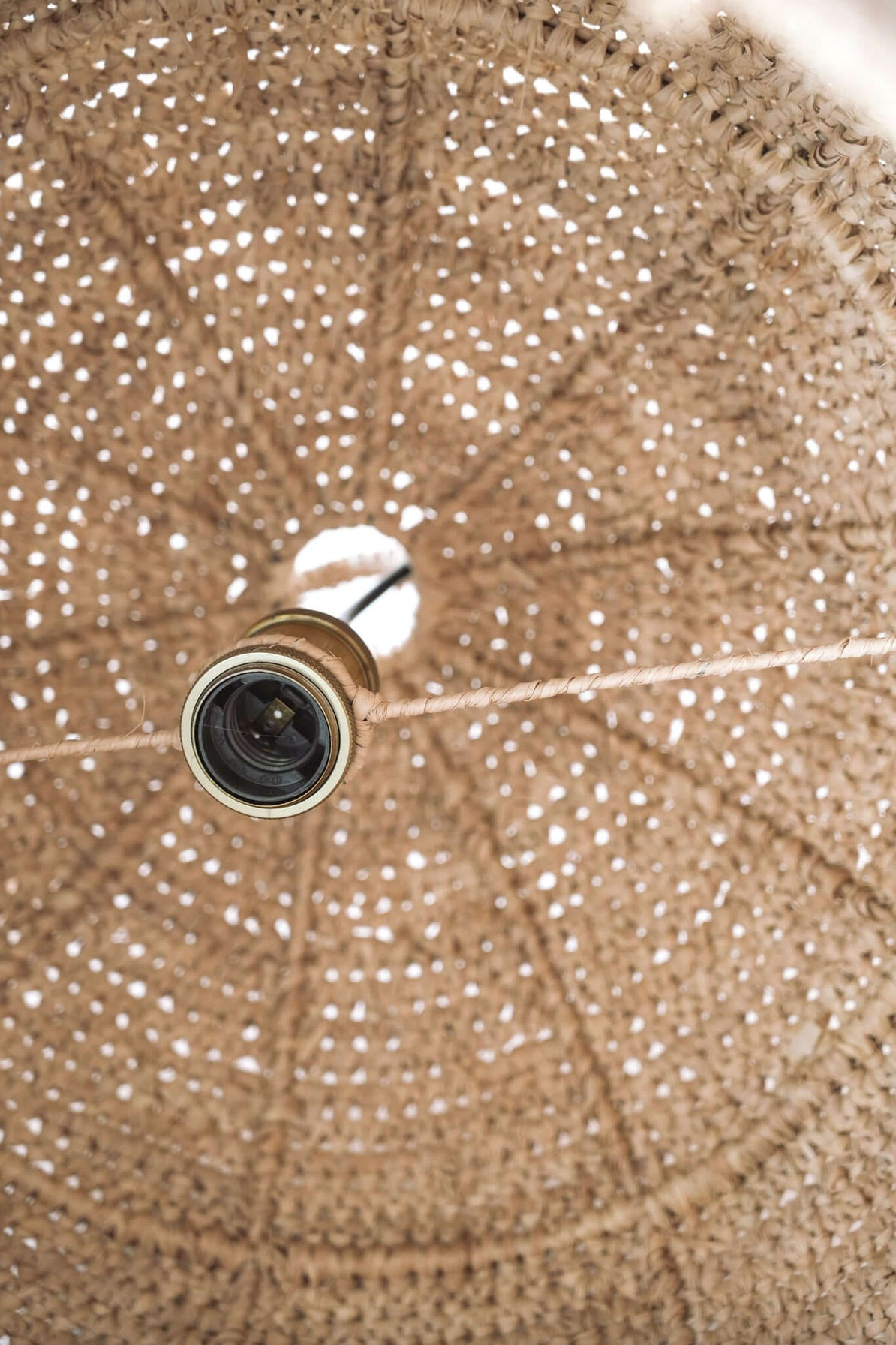 The Wah Wah | Pendant Light