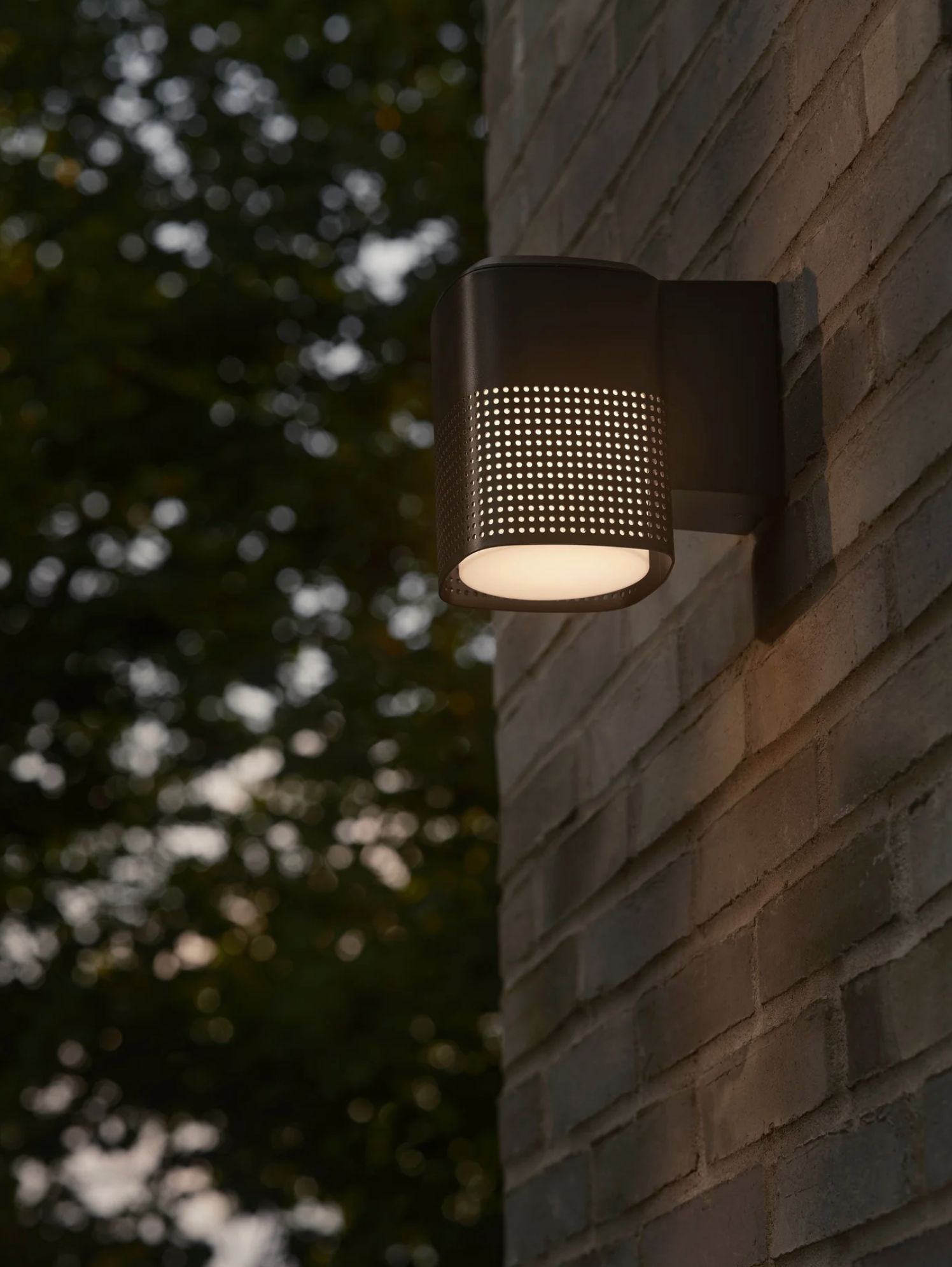 Sidara | Wall Light