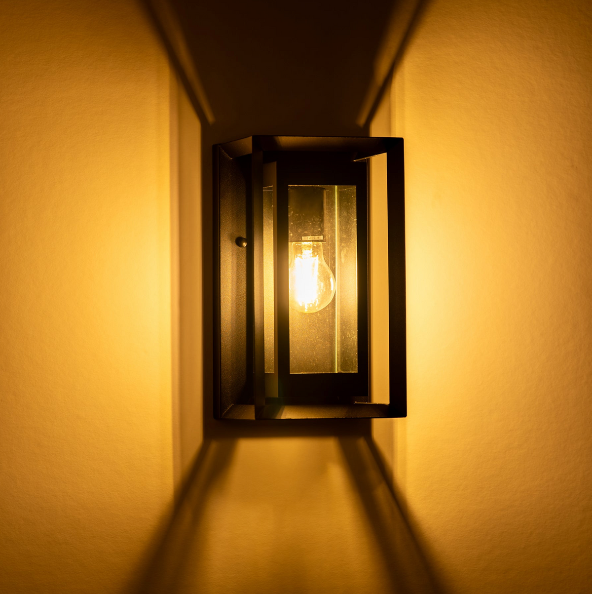 Felix | Wall Light