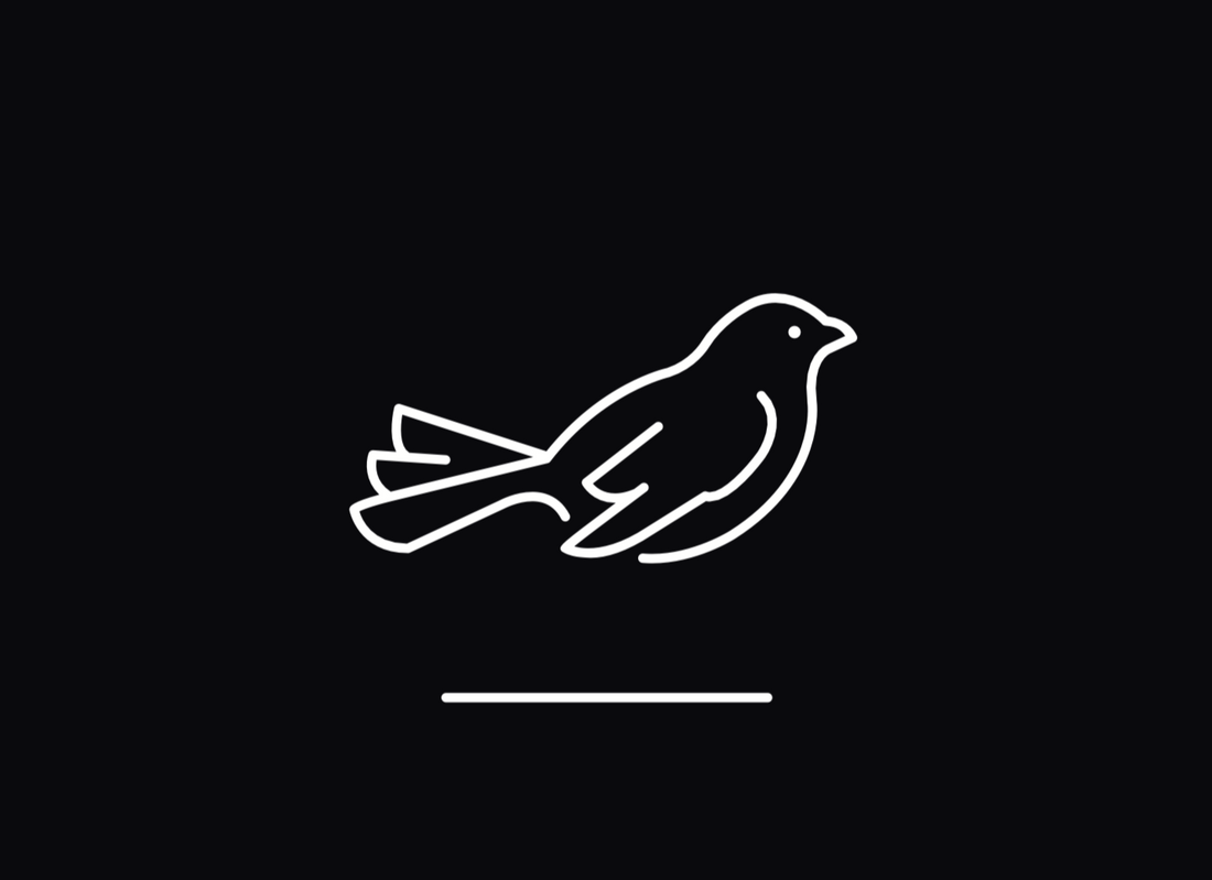 White line drawing of a bird on a black background