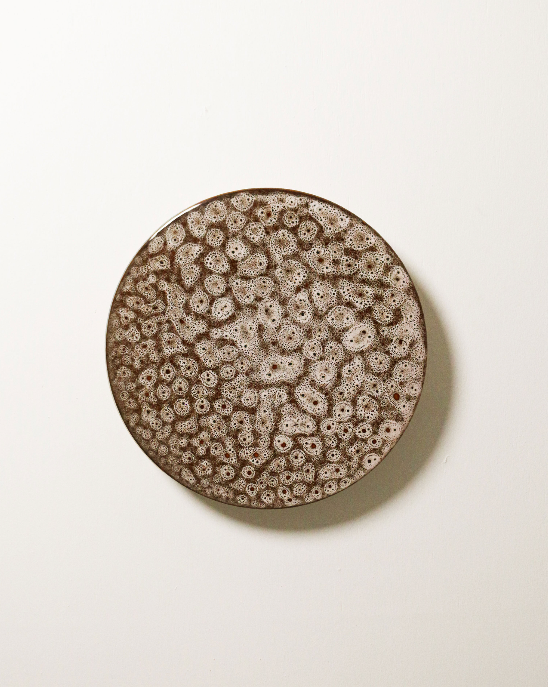 Backlit Disc | Wall Light