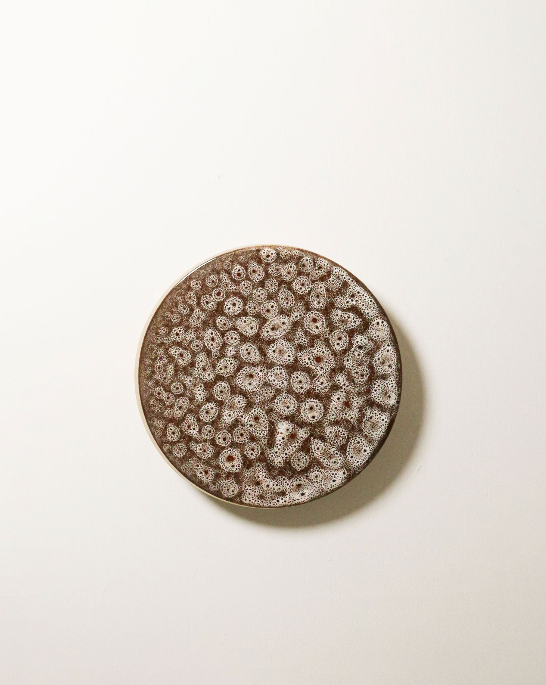 Backlit Disc | Wall Light