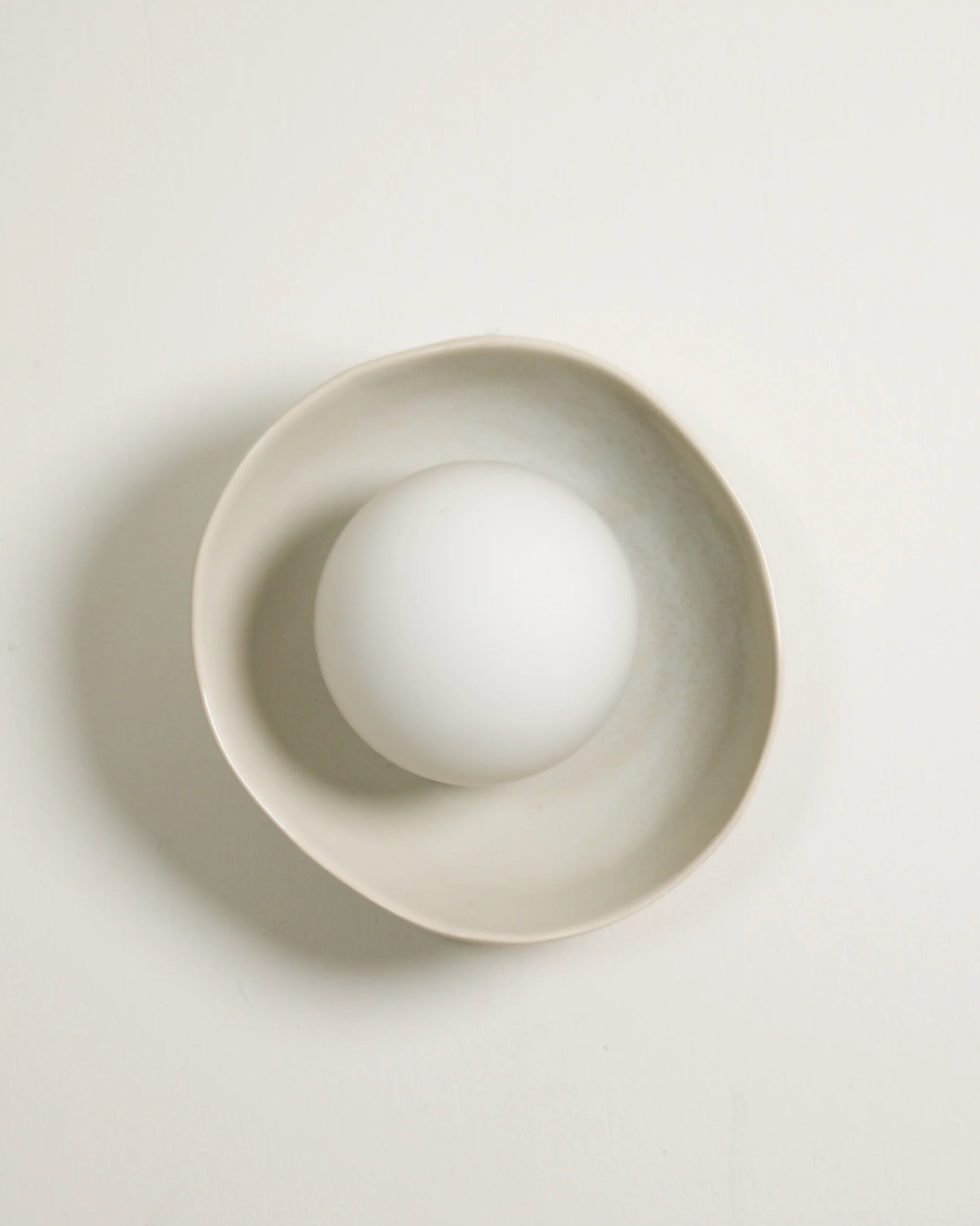Shell | Wall Light