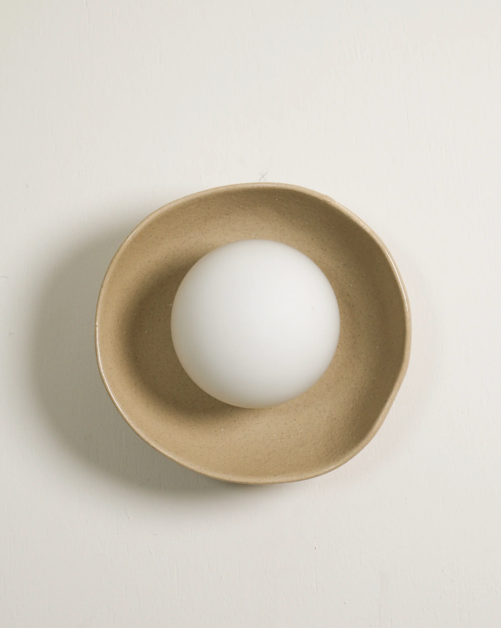 Shell | Wall Light