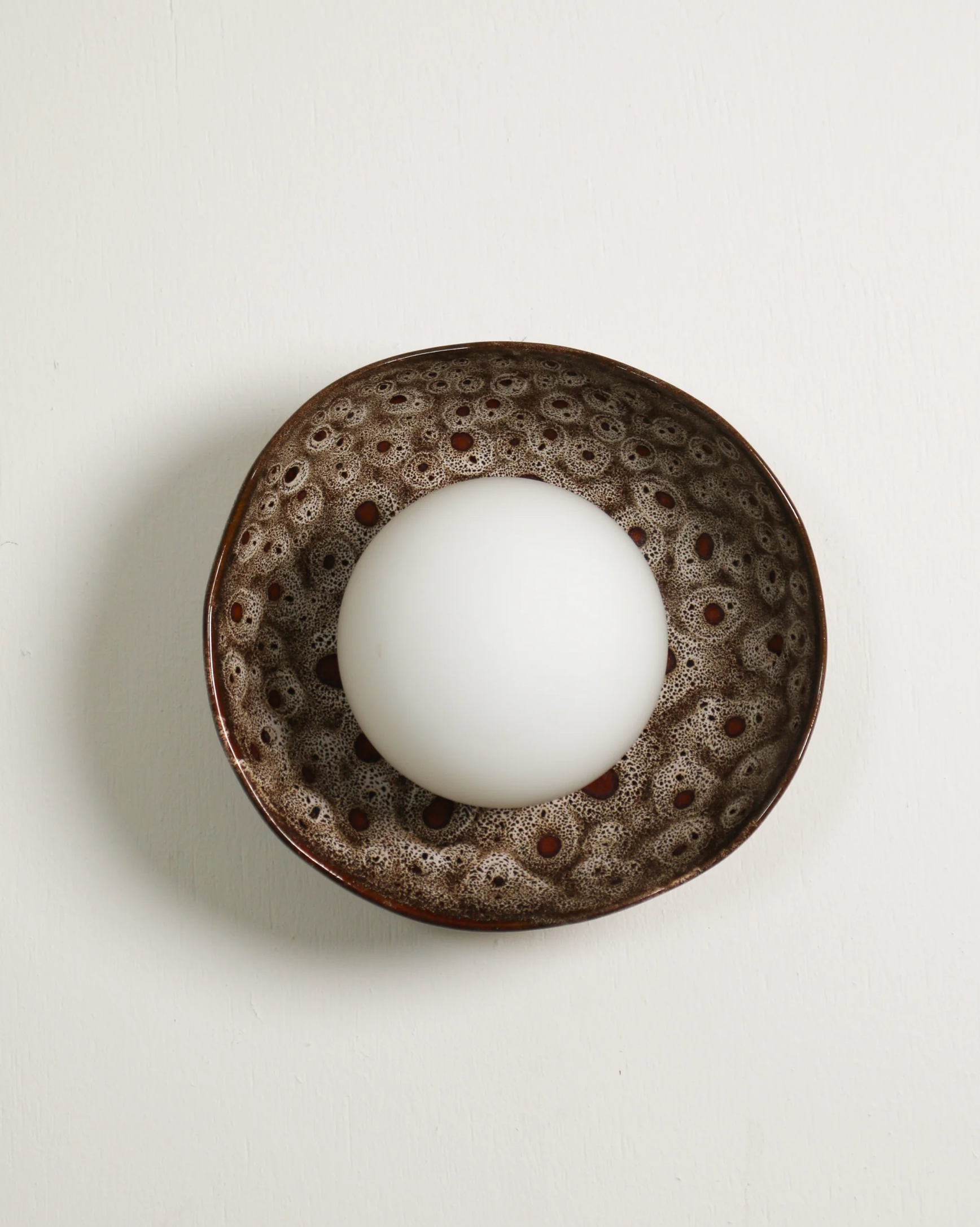 Shell | Wall Light