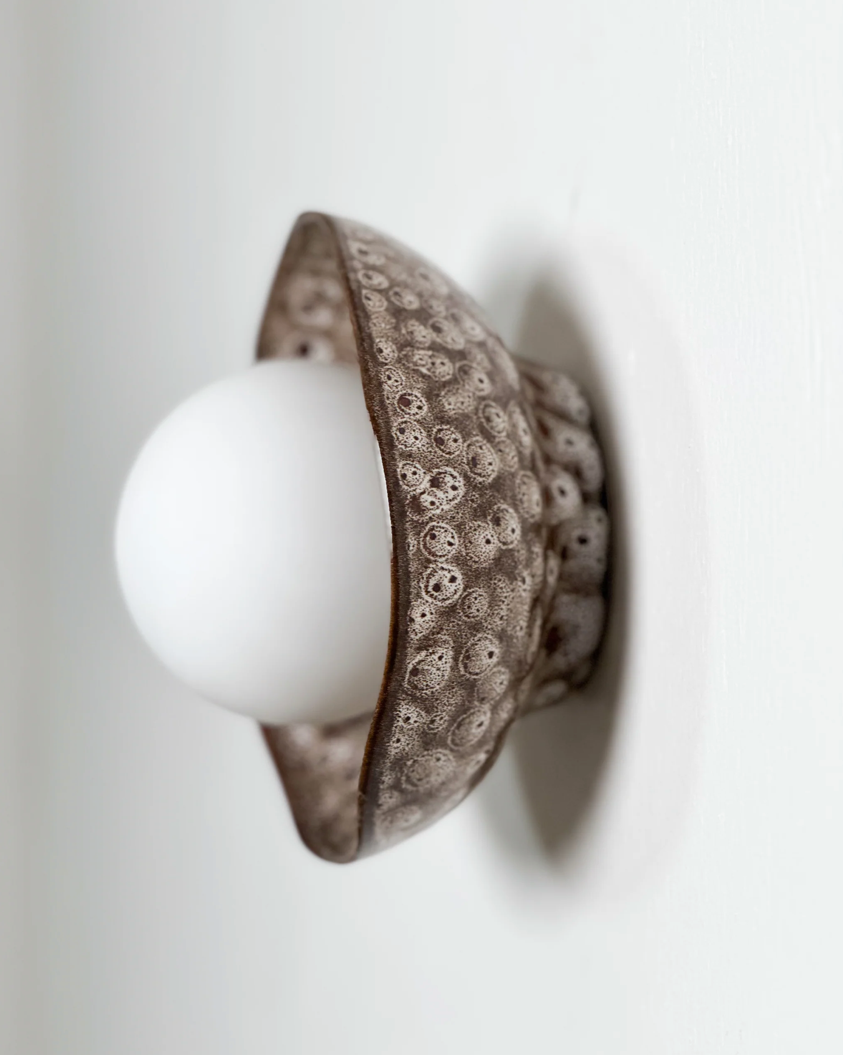 Shell | Wall Light