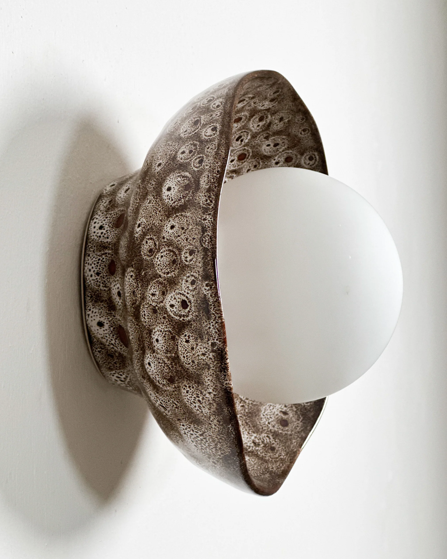 Shell | Wall Light