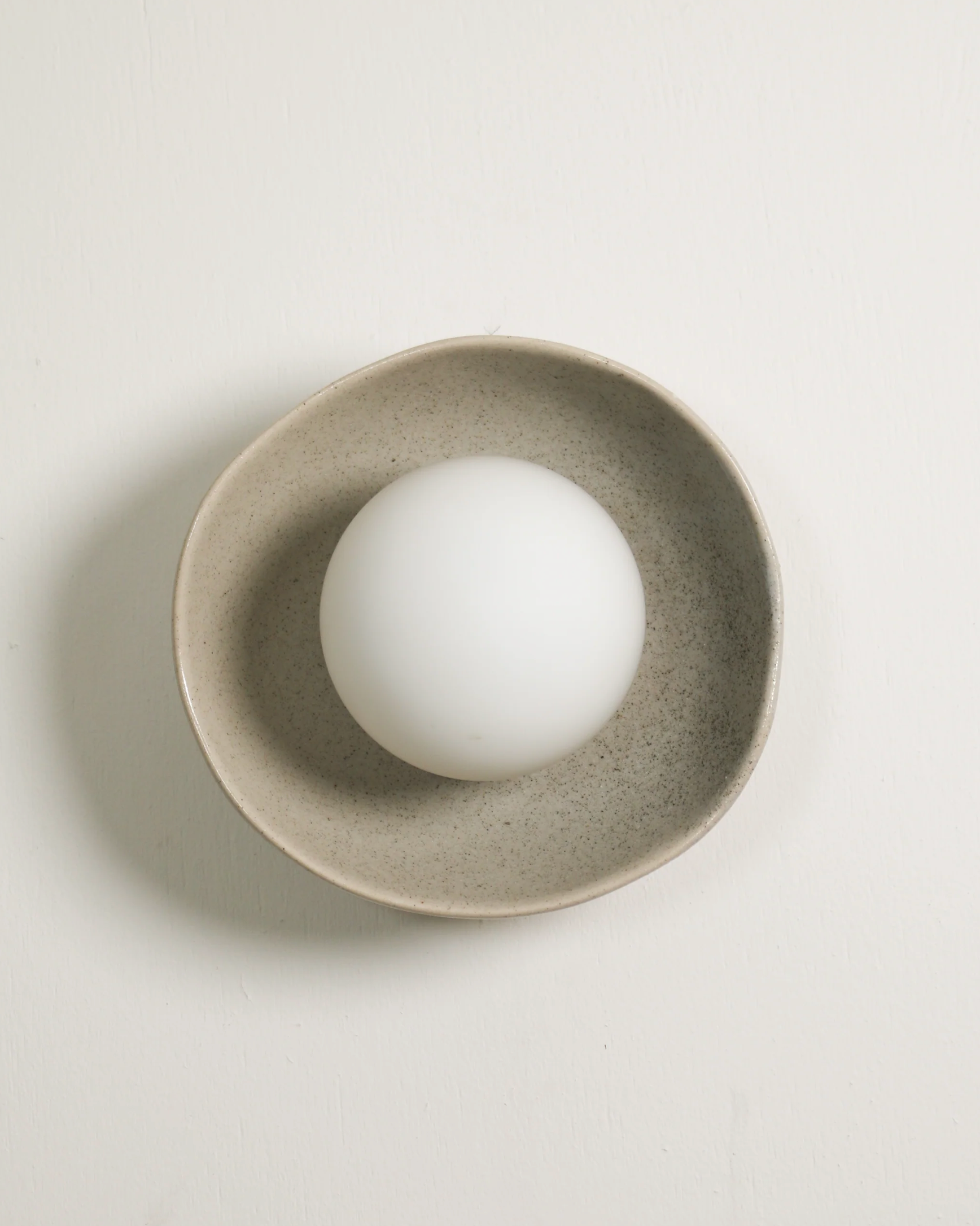 Shell | Wall Light