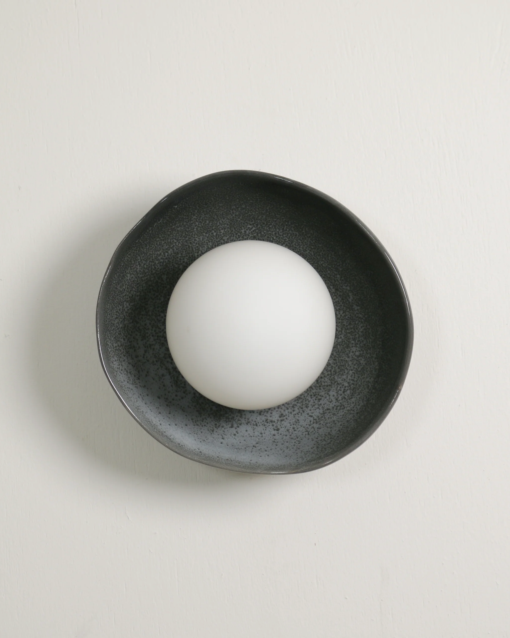 Shell | Wall Light