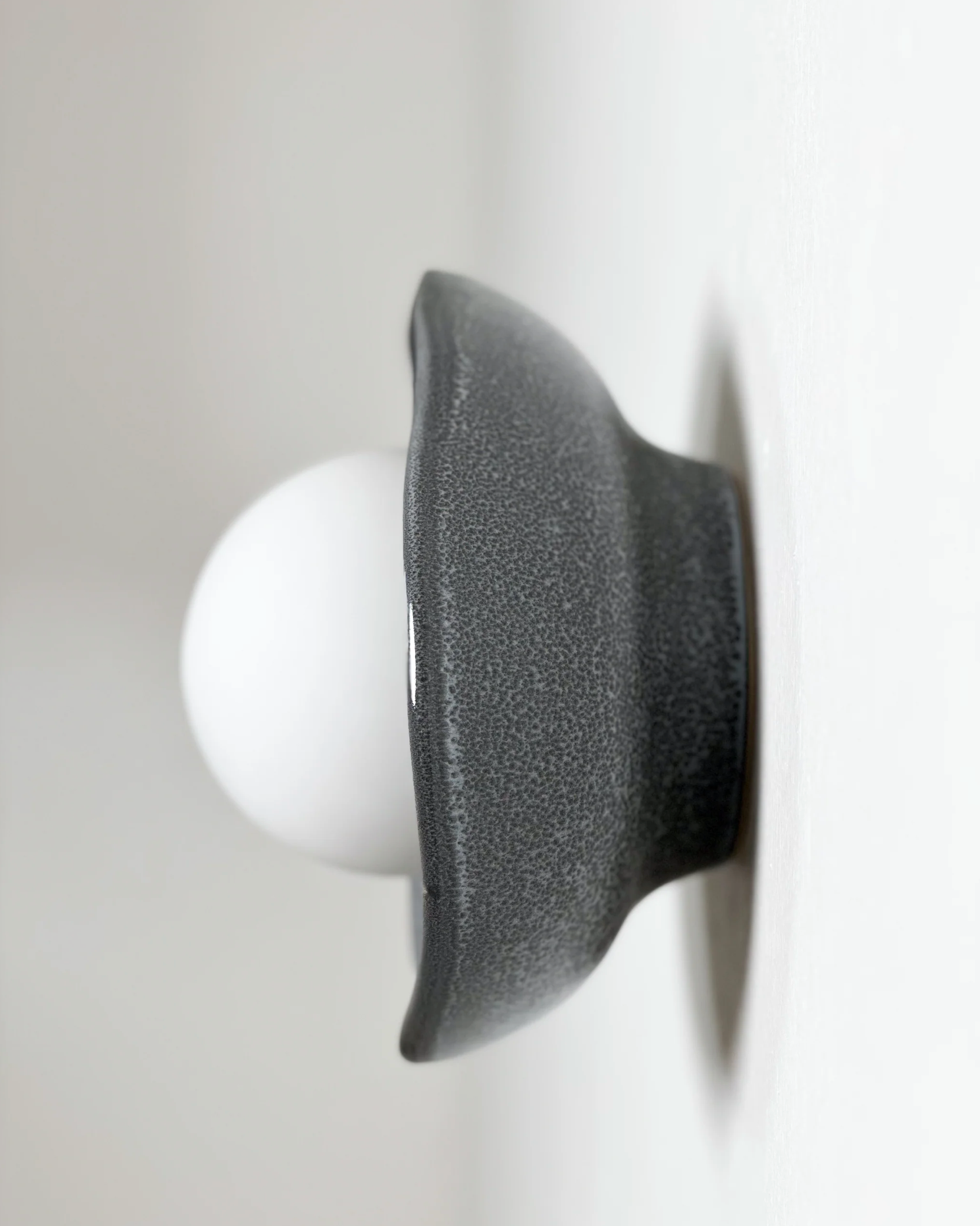 Shell | Wall Light