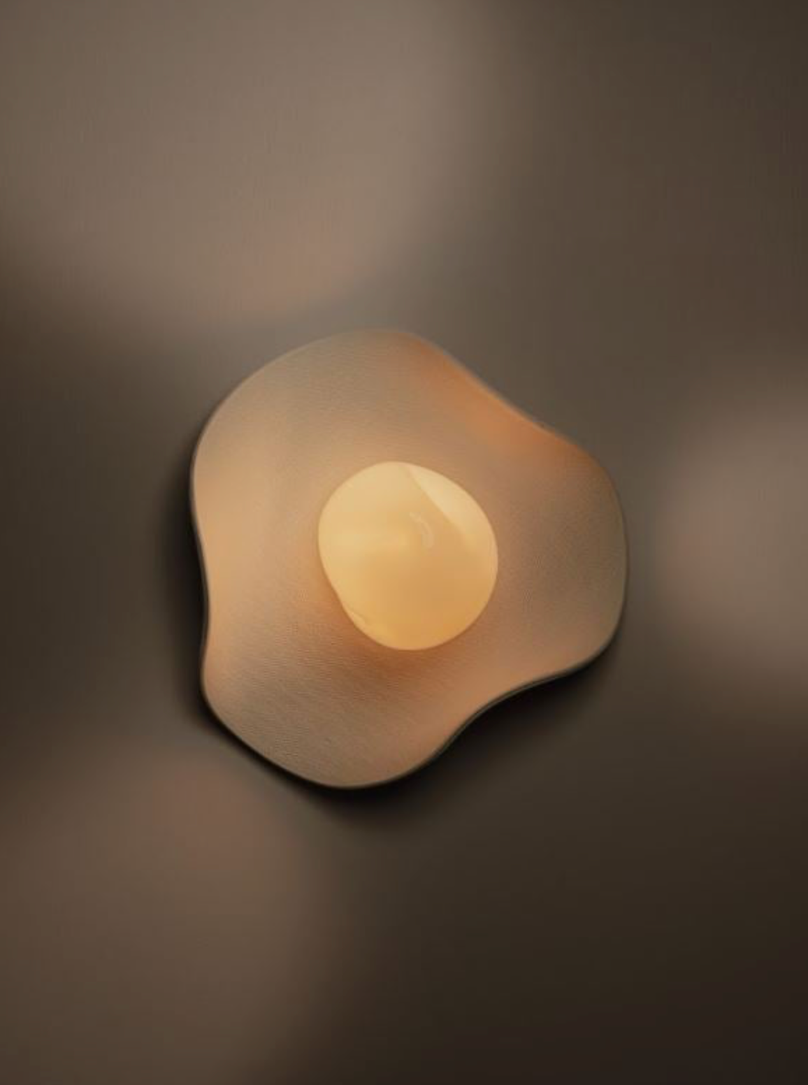 Organic wall light fixture on a moody background
